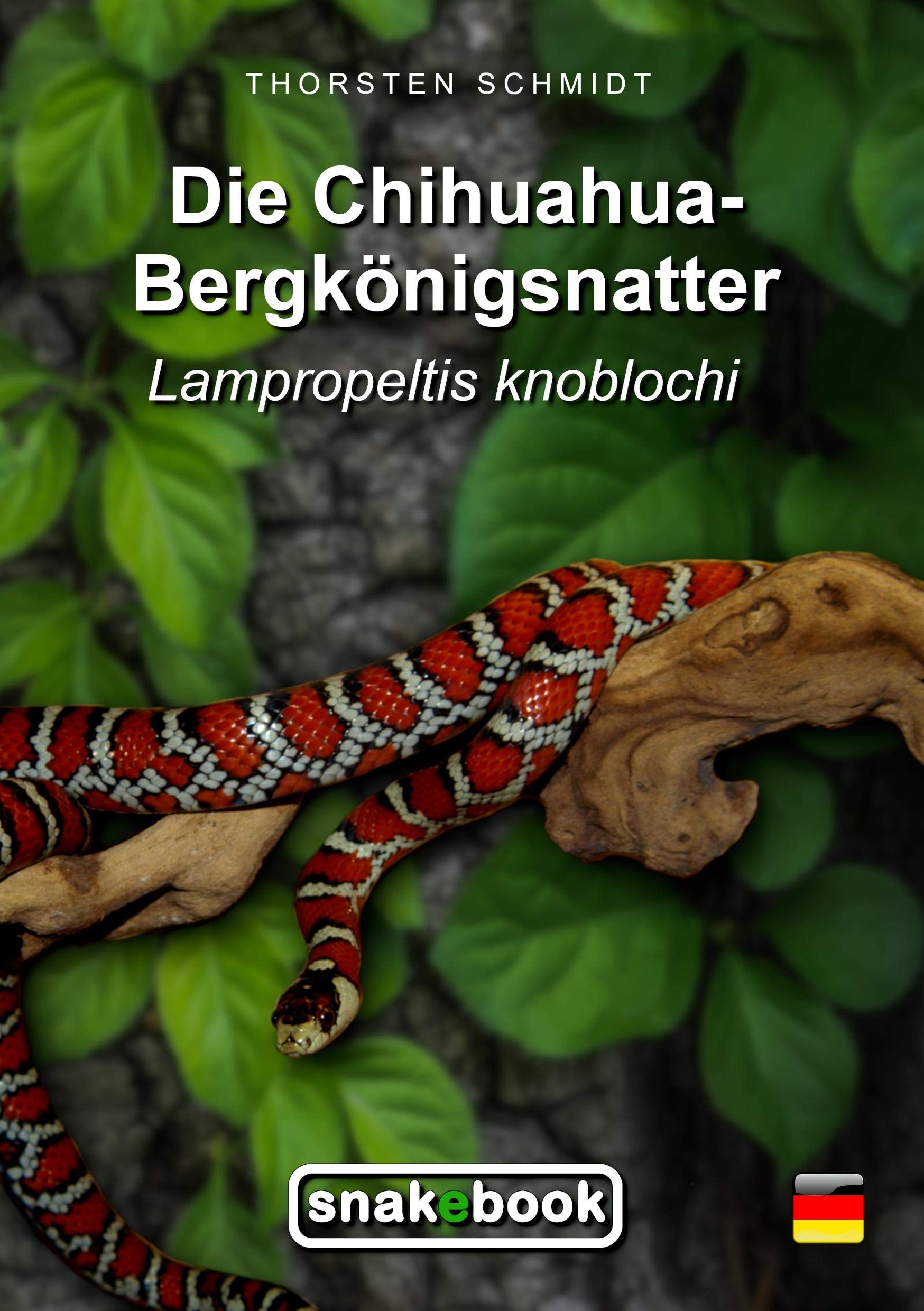 Die Chihuahua-Bergkönigsnatter Natural Sciences