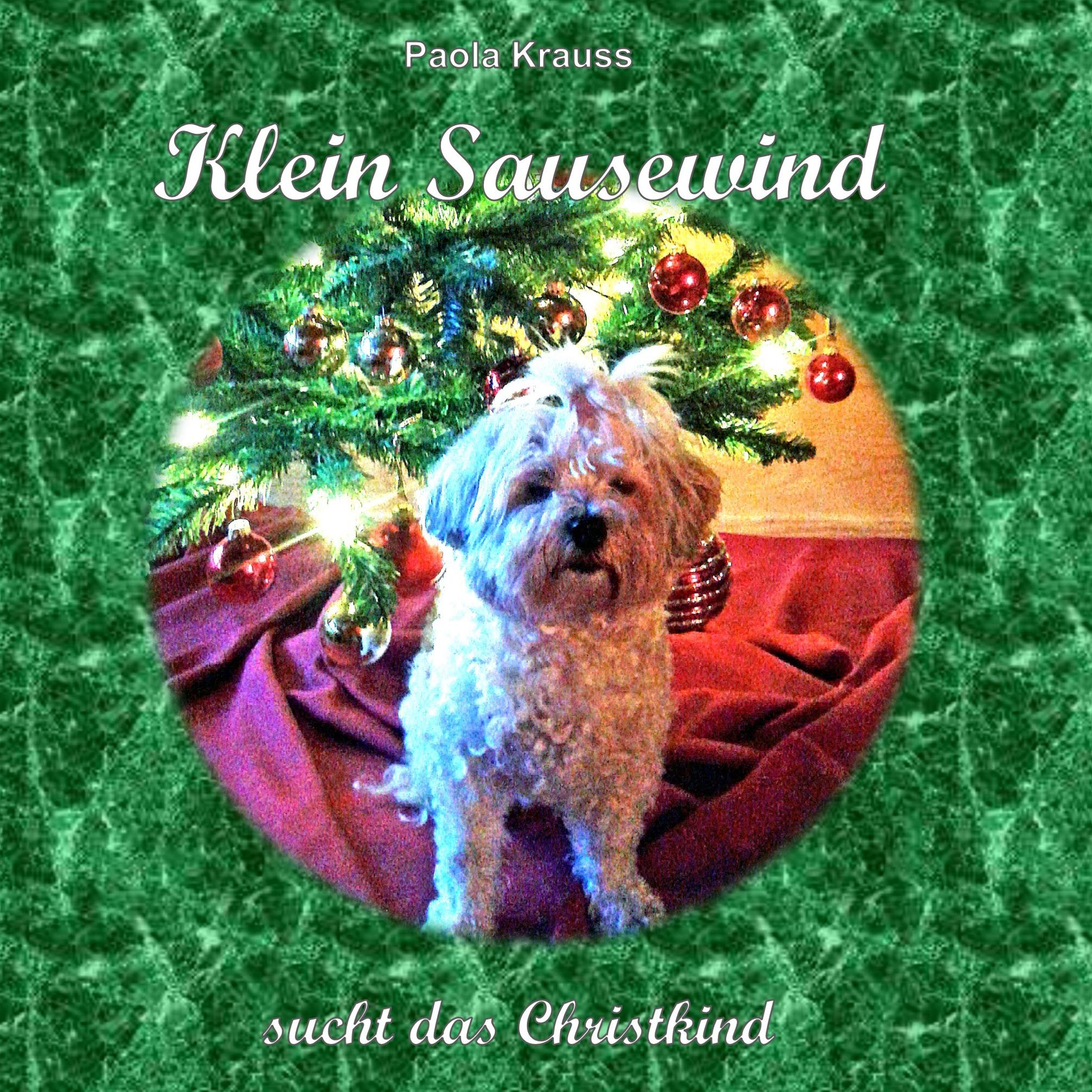 Klein Sausewind Novels & Short Stories for children