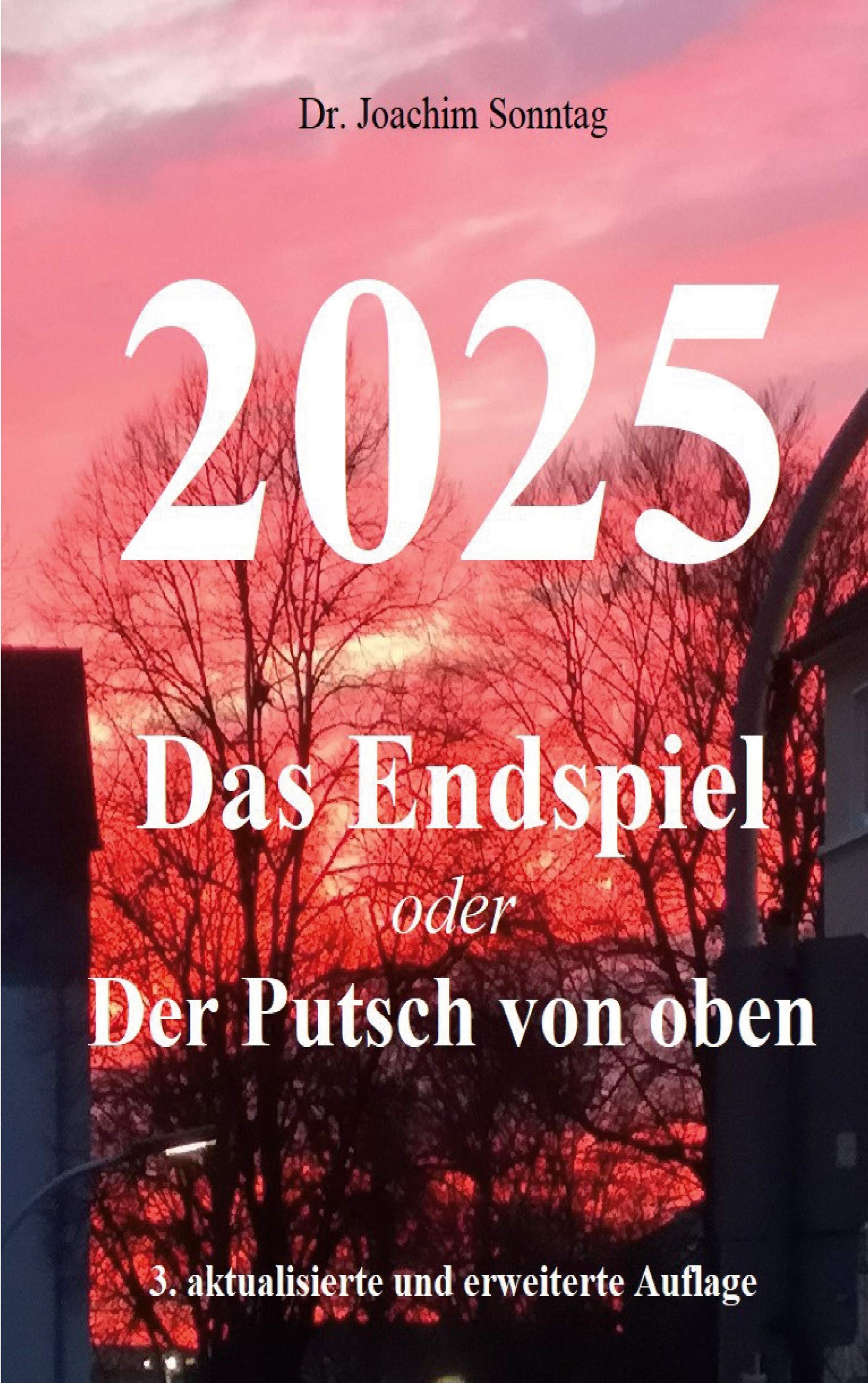 2025 - Das Endspiel: Der Alptraum für unsere Kinder Books