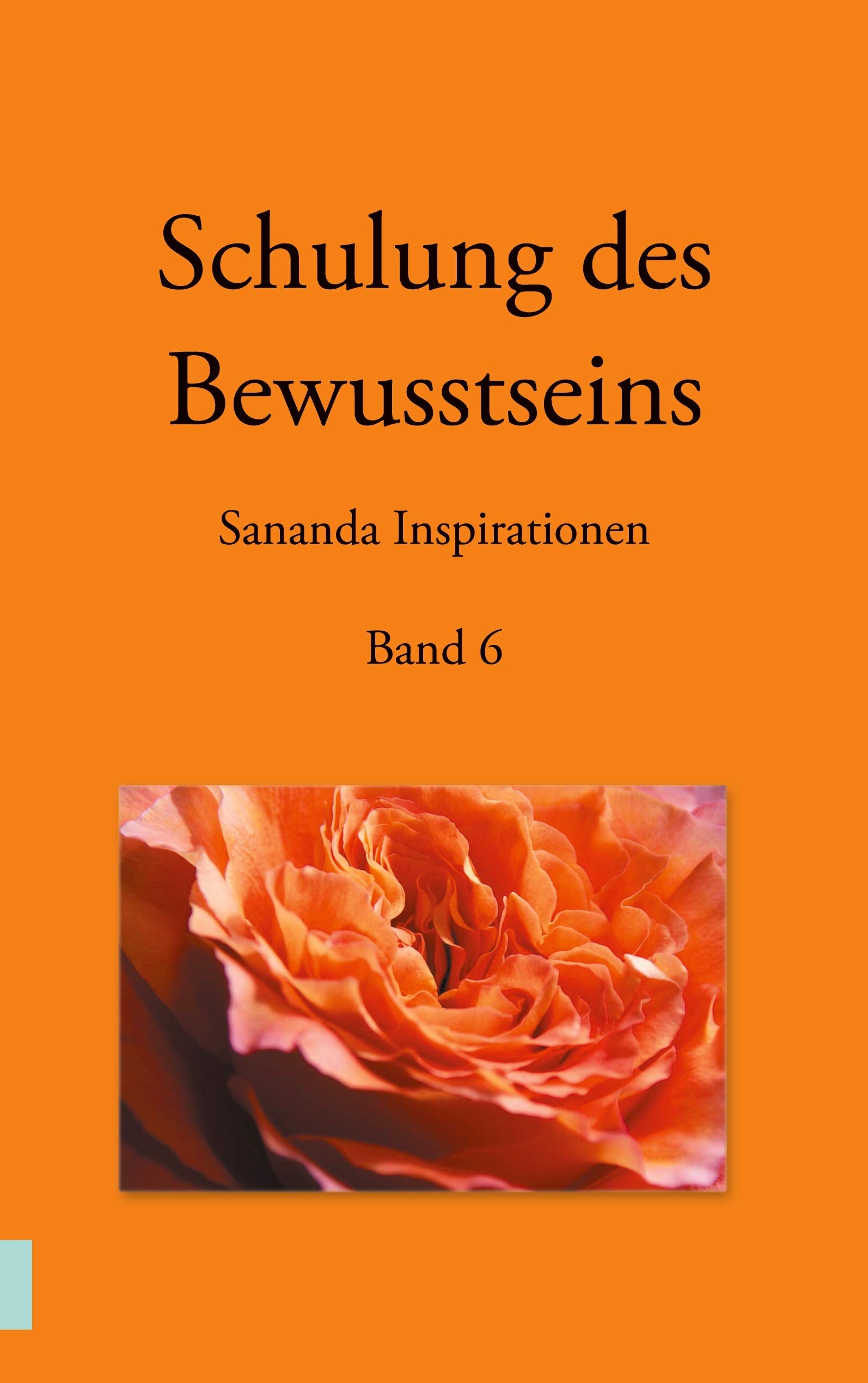 Schulung des Bewusstseins - Sananda Inspirationen: Band 6 Death & Mourning