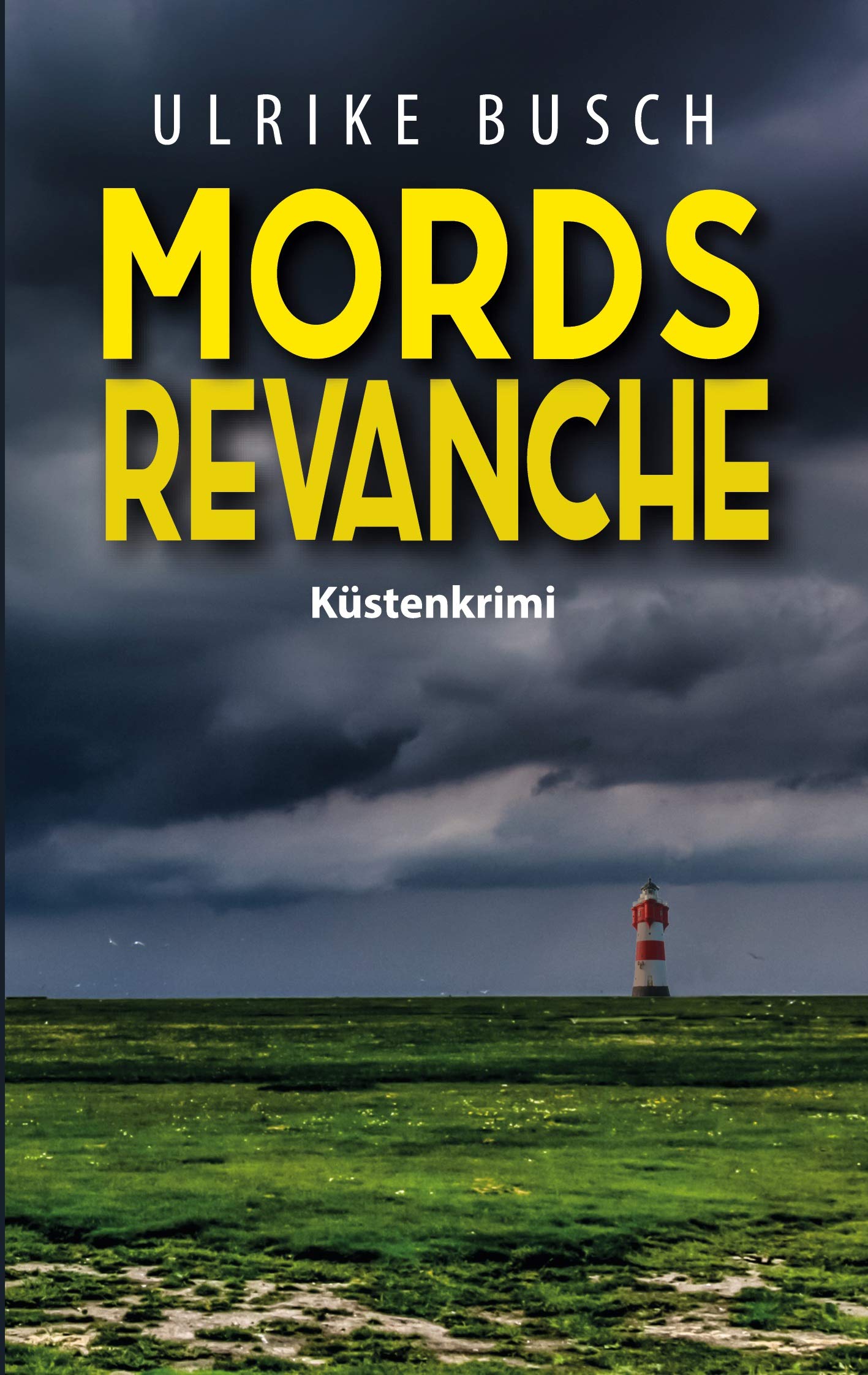 Mordsrevanche: Küstenkrimi (Anders und Stern ermitteln) Contemporary literature