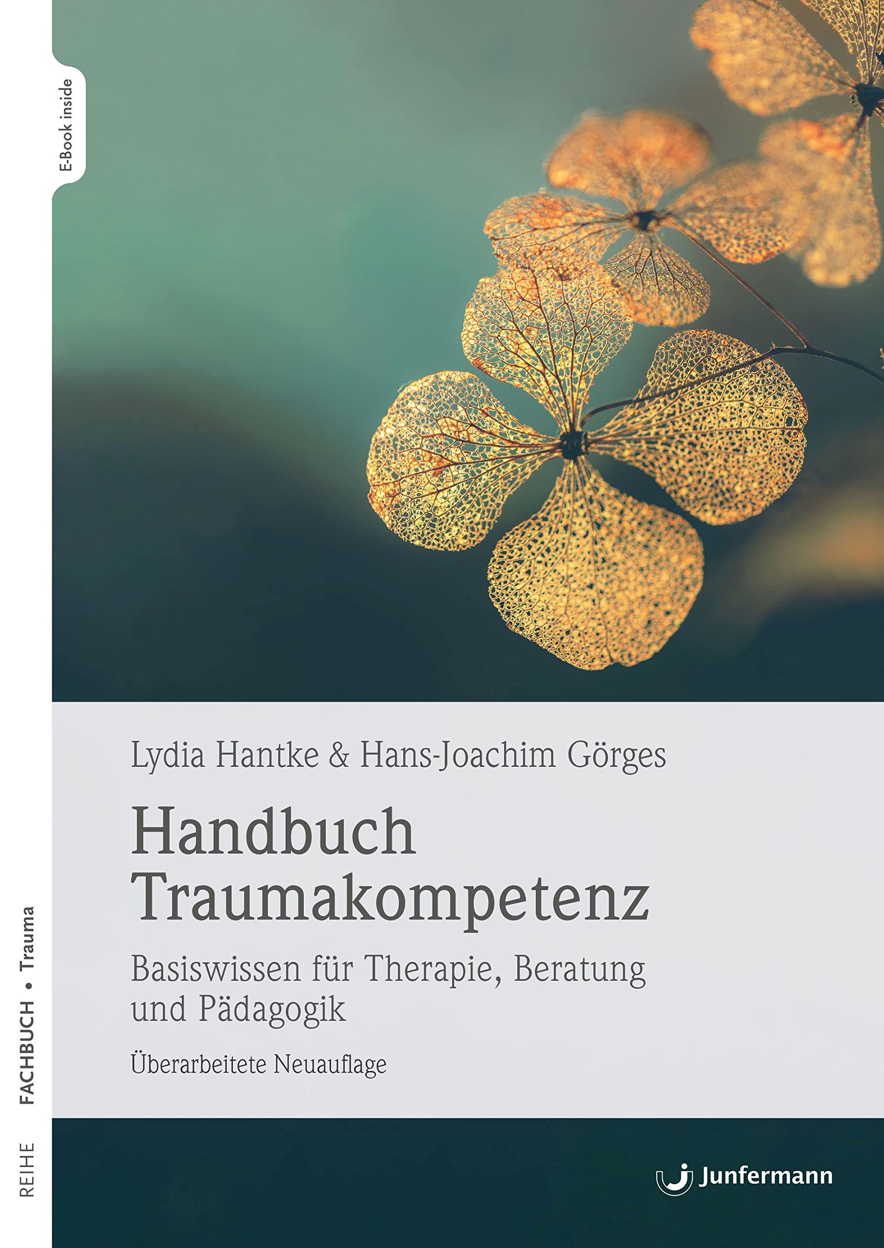 Handbuch Traumakompetenz Medicine