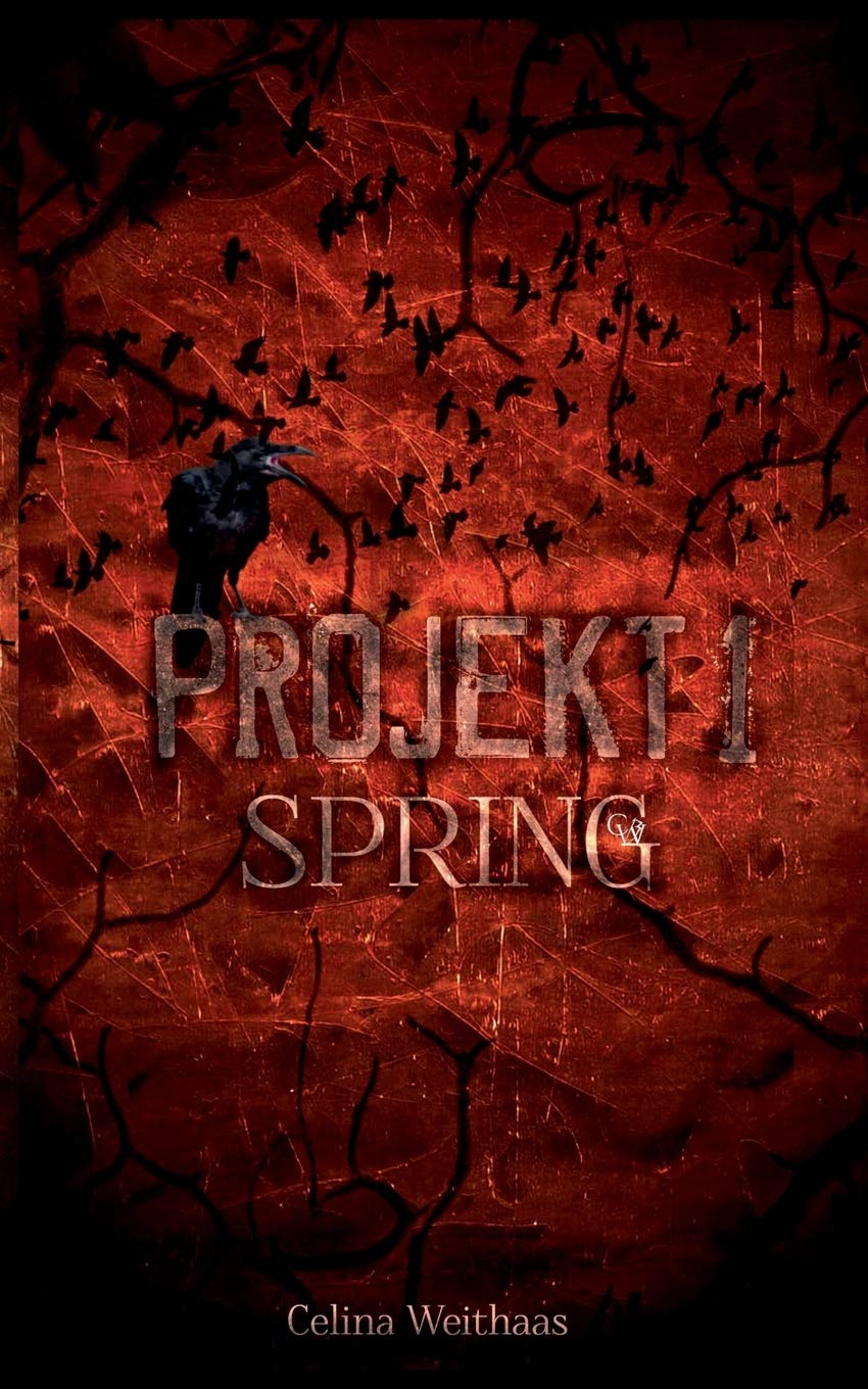 Projekt I: Spring (Die Chroniken des Grauen Mannes) Contemporary literature