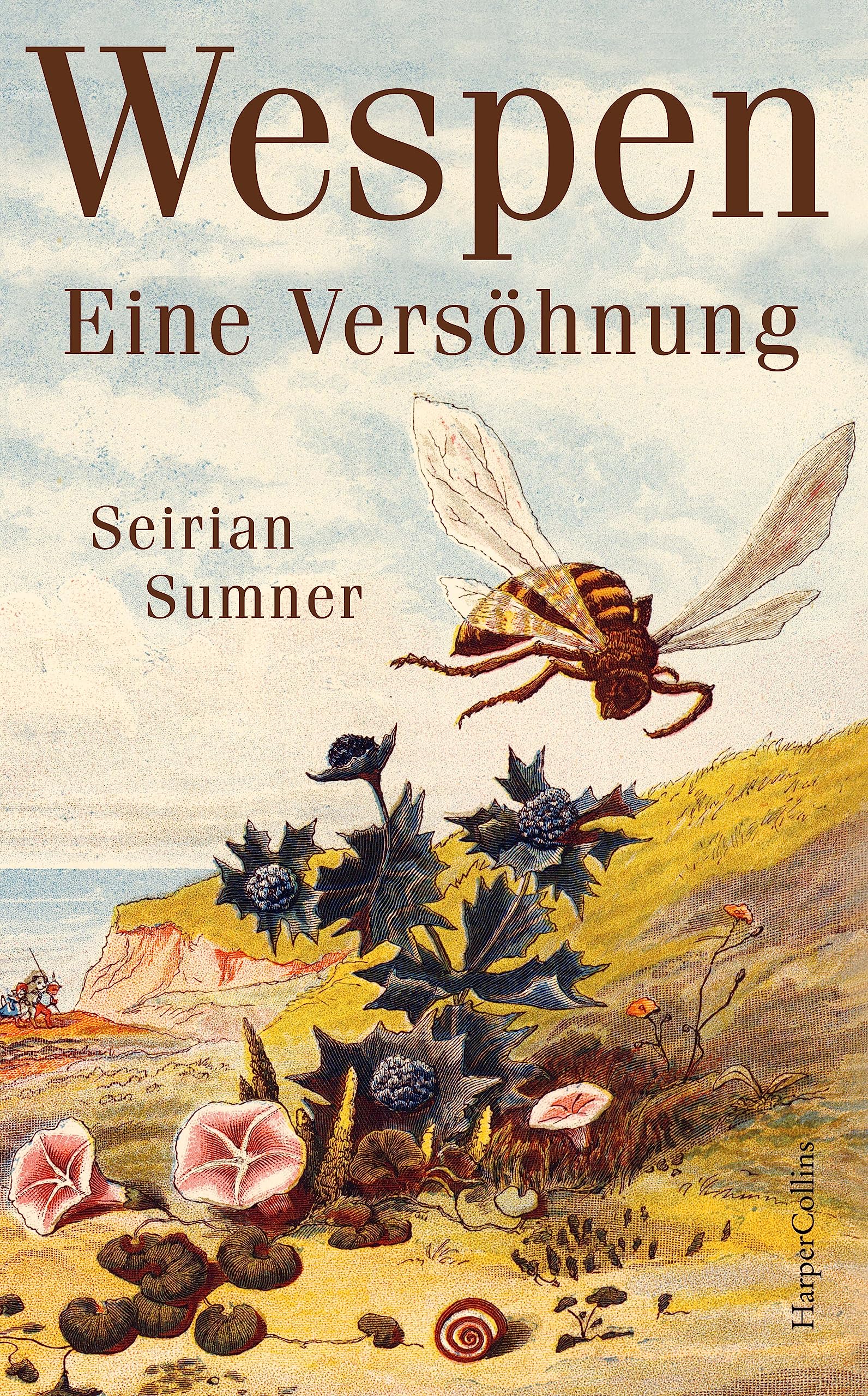 Product Image: Wespen. Eine Versöhnung