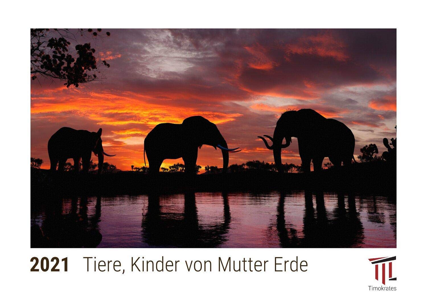 Tiere, Kinder von Mutter Erde 2021 - Timokrates Kalender, Tischkalender, Bildkalender - DIN A5 (21 x 15 cm) Books