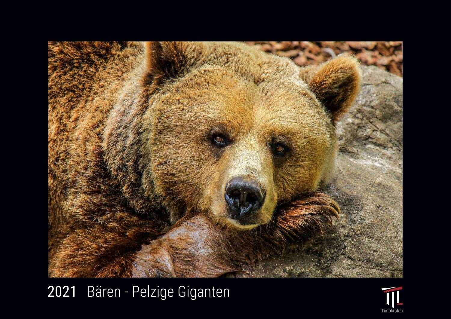 Bären - Pelzige Giganten 2021 - Black Edition - Timokrates Kalender, Wandkalender, Bildkalender - DIN A3 (42 x 30 cm) Books