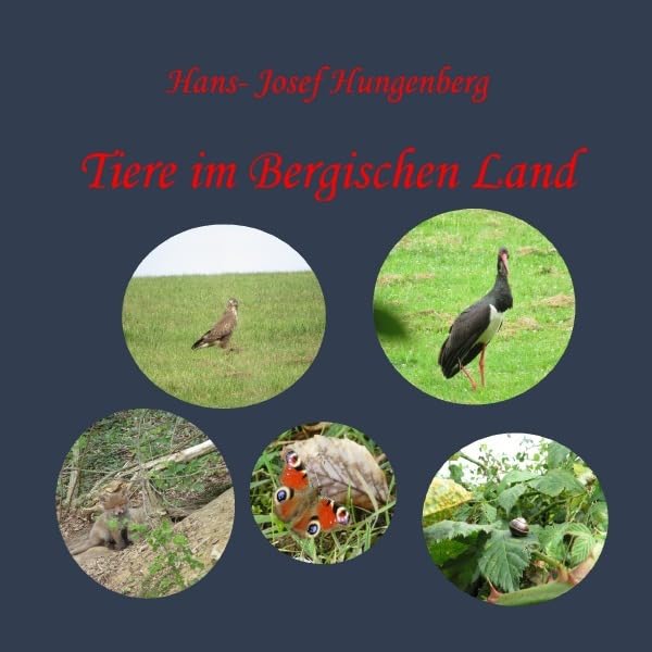 Tiere im Bergischen Land Photography