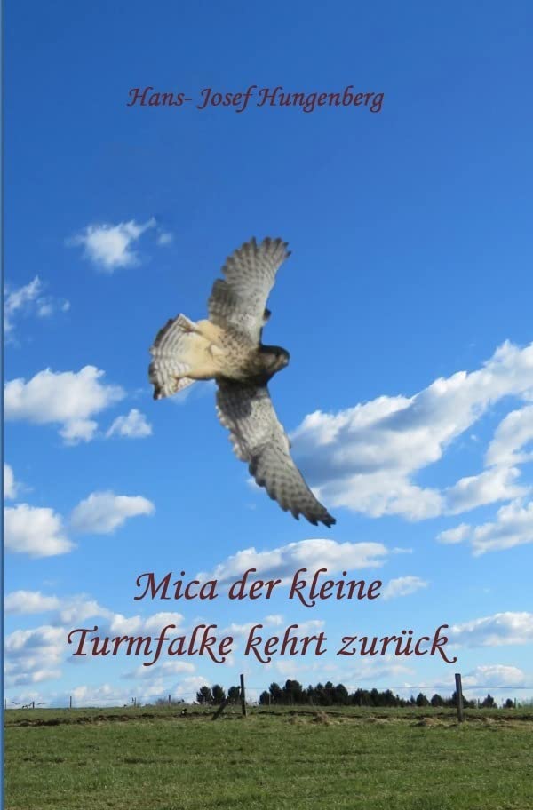 Mica der kleine Turmfalke kehrt zurück Business & Technology