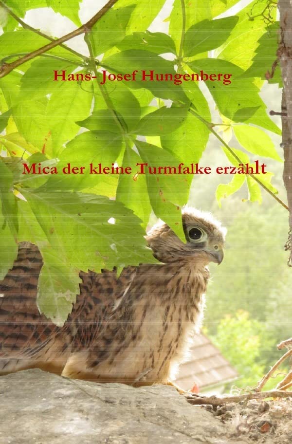 Mica der kleine Turmfalke erzählt Business & Technology