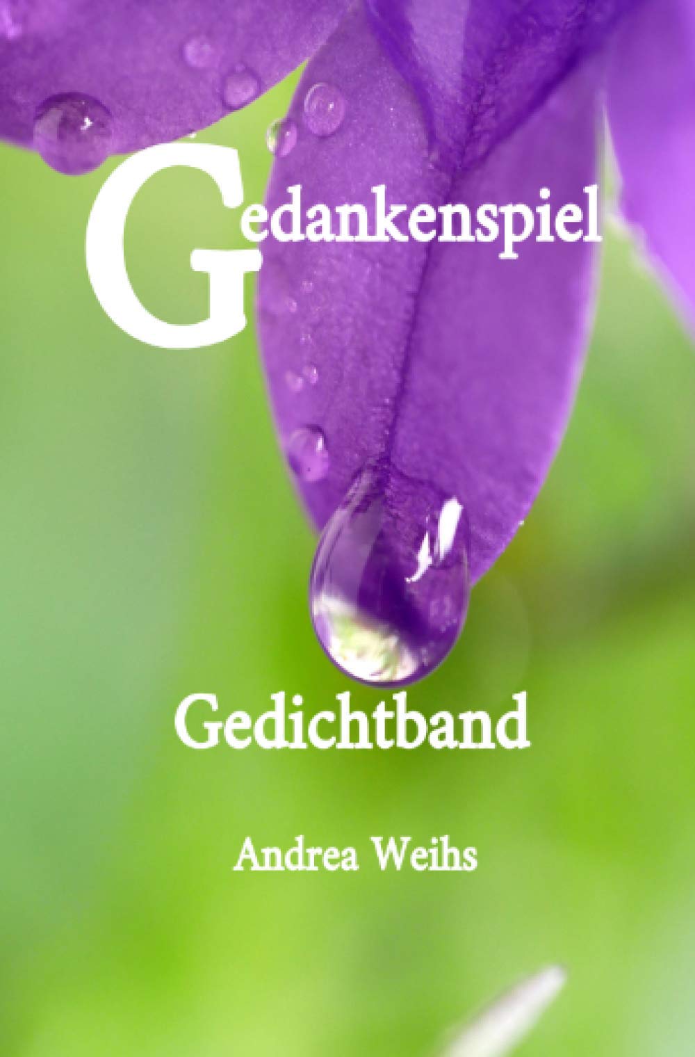 Gedankenspiel Gedichtband Poetry