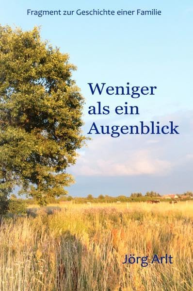 Weniger als ein Augenblick: Fragment zur Geschichte einer Familie Politics & History