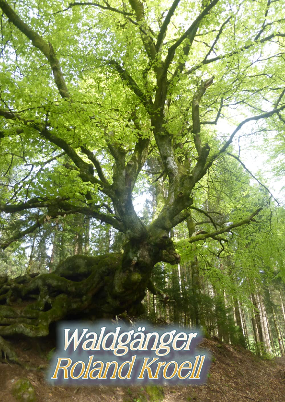 Waldgänge Roland Kroell: Kurzgeschichten aus dem Wald Leisure, Home & Garden