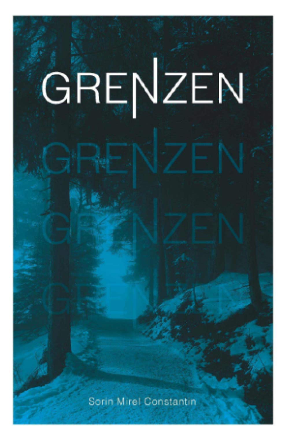 Grenzen Contemporary literature Books