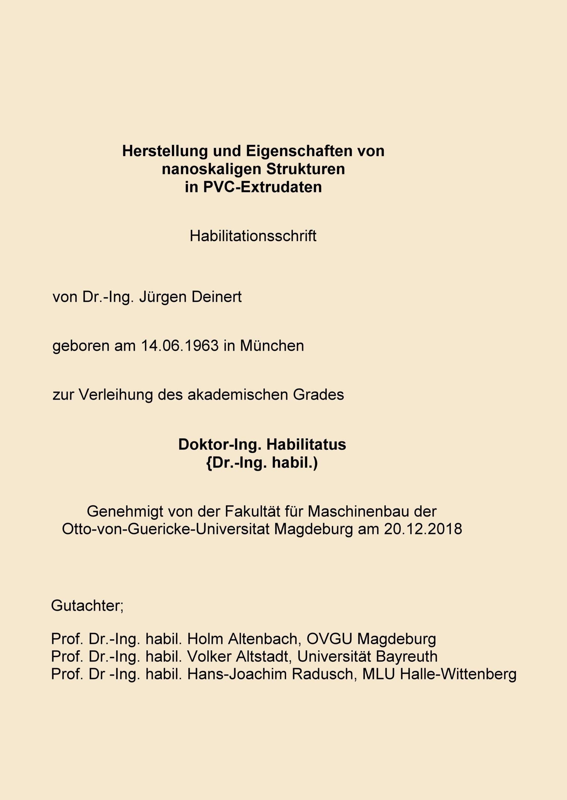 Habilitationsschrift: Nanoskalige Strukturen Business & Technology