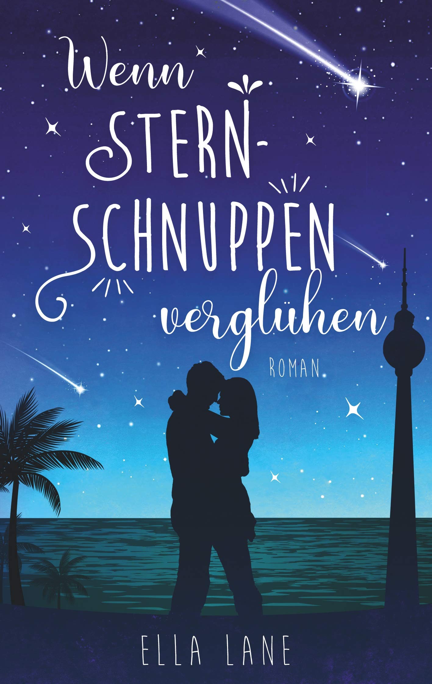 Wenn Sternschnuppen verglühen Contemporary literature