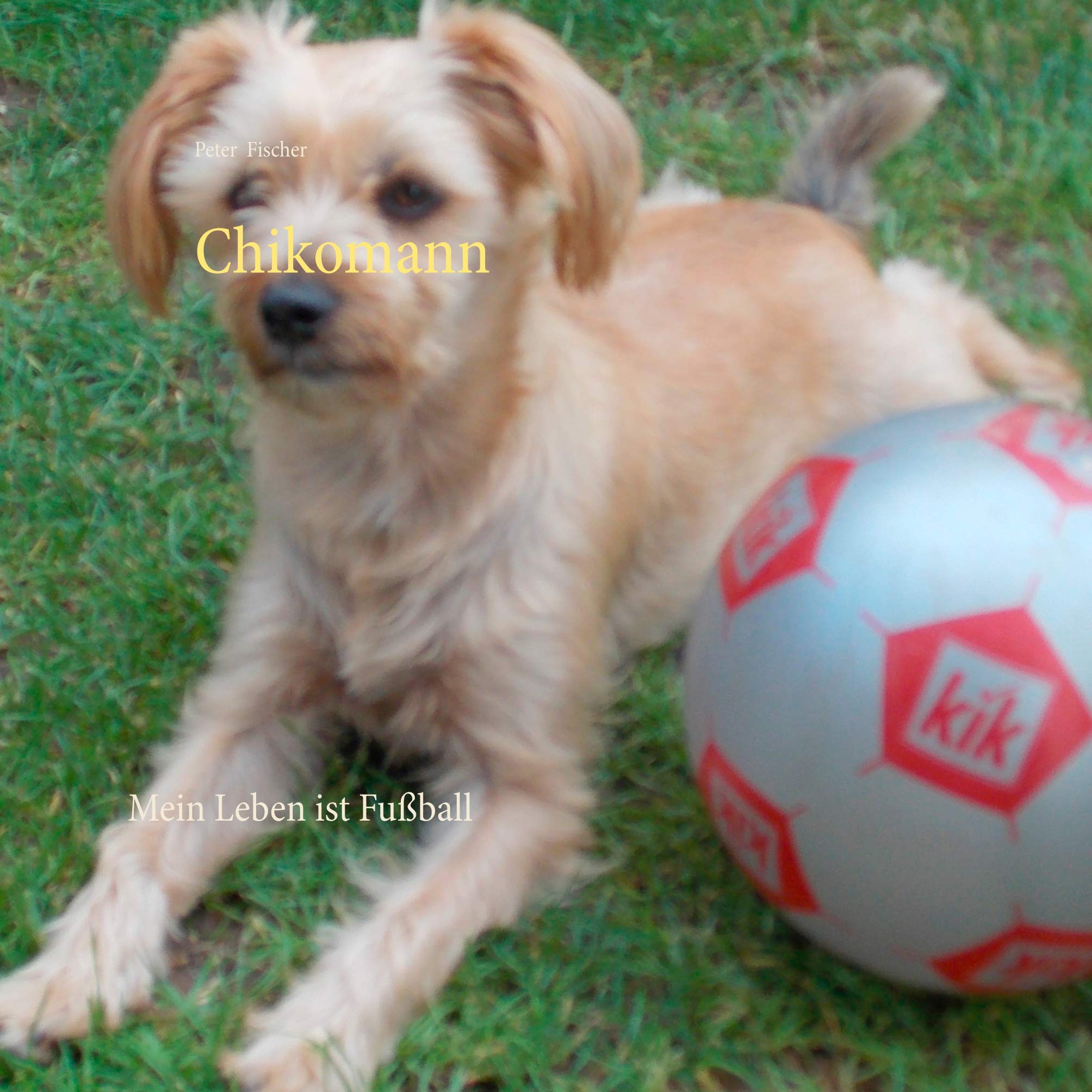 Chikomann: Mein Leben ist Fußball Novels & Short Stories