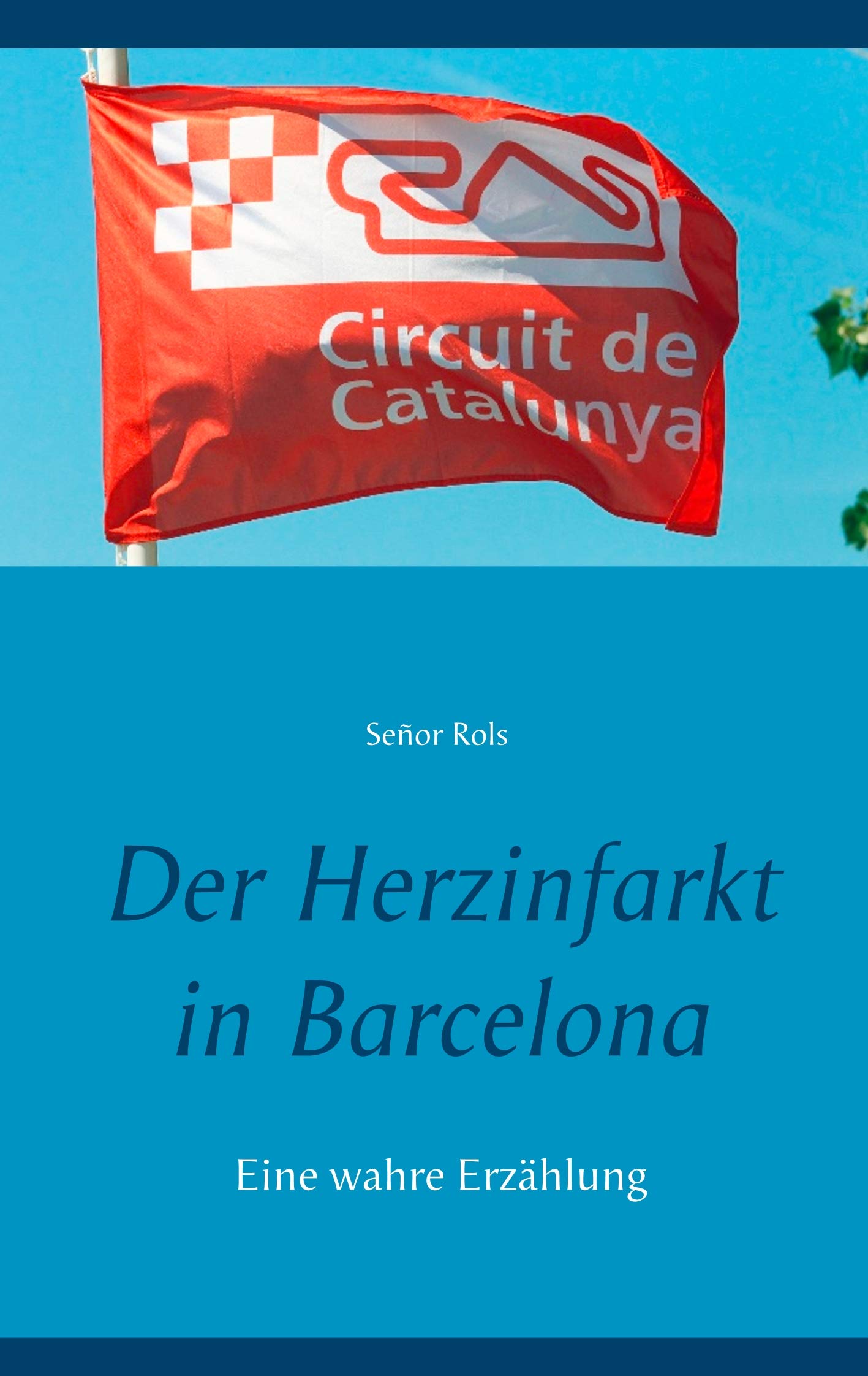 Der Herzinfarkt in Barcelona Contemporary literature