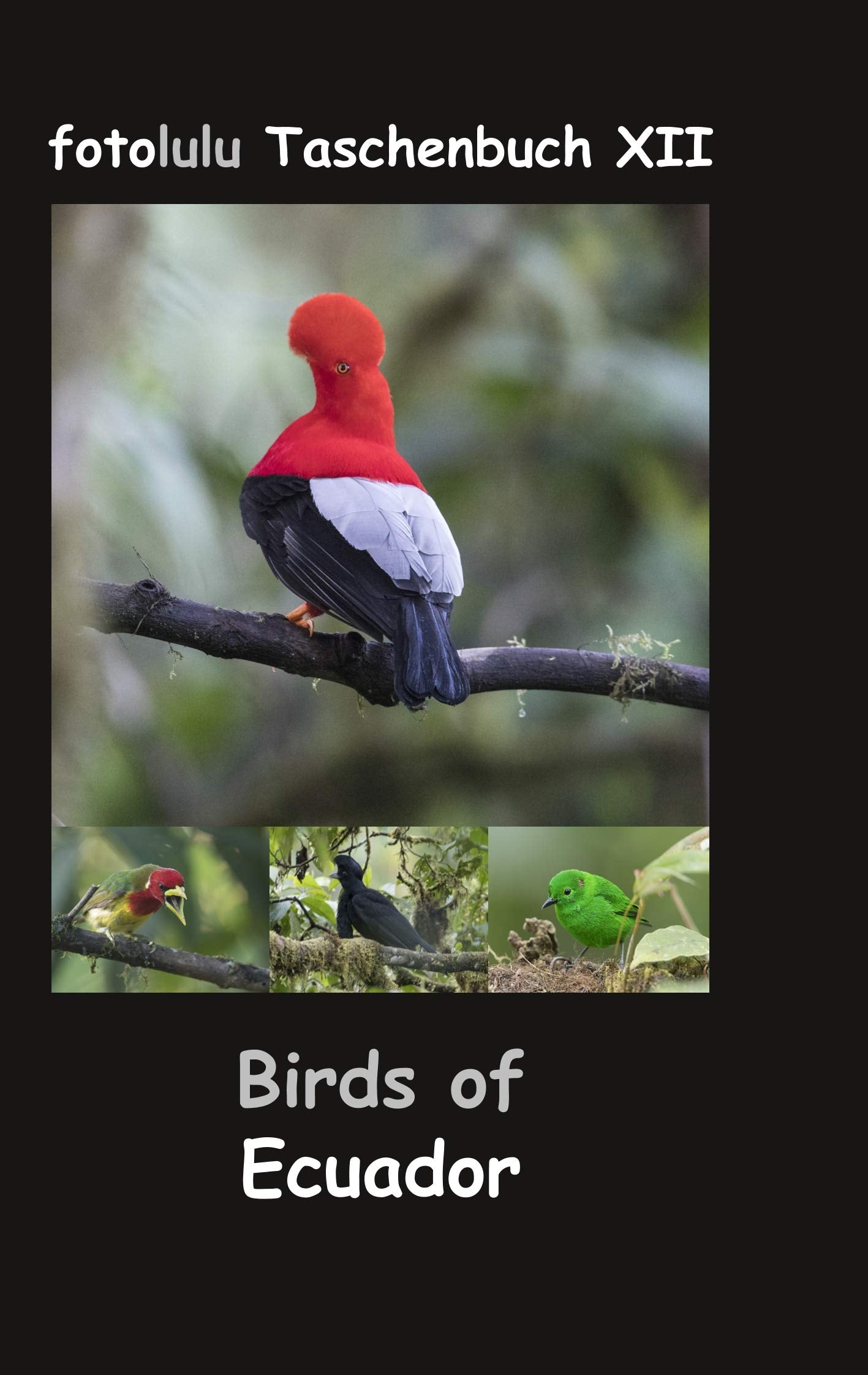 Birds of Ecuador: fotolulu Taschenbuch XII Mathematics