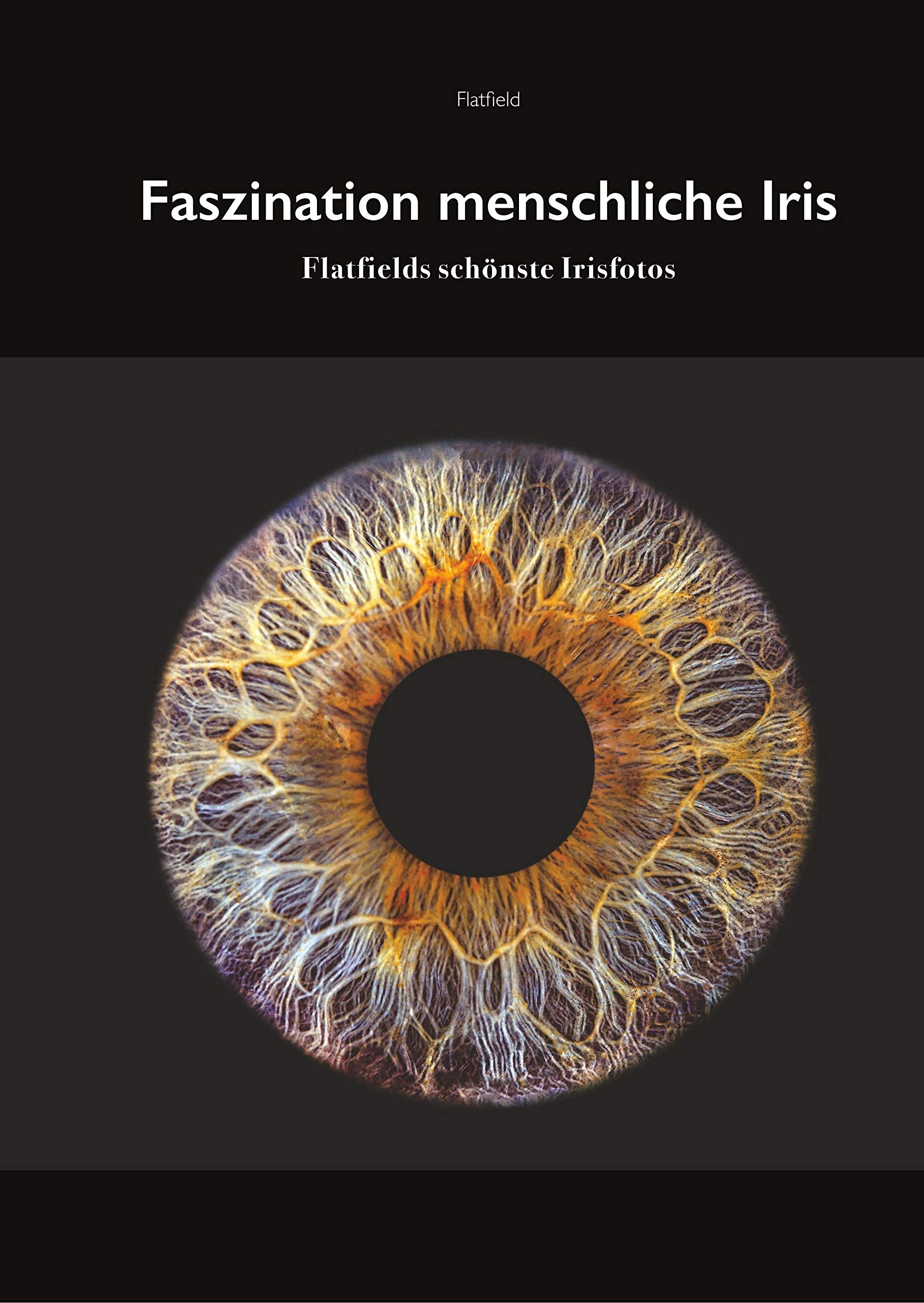 Fasziniation menschliche Iris Photography