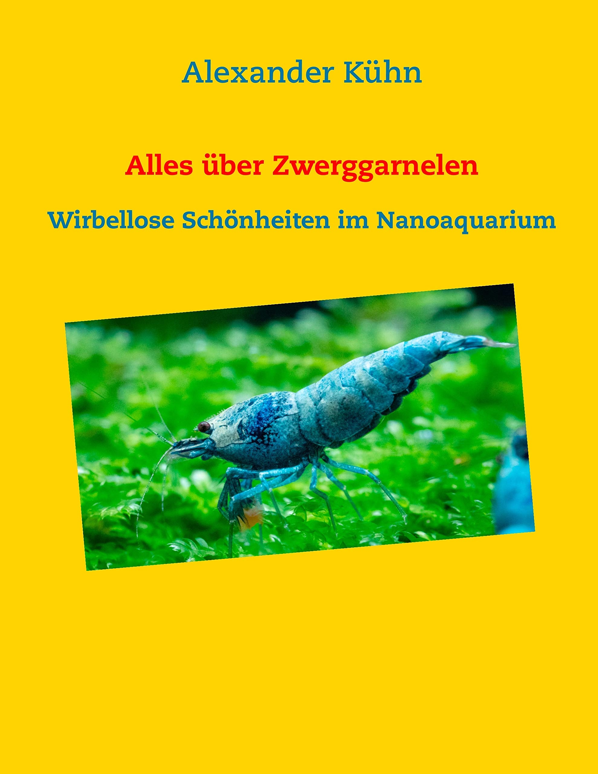 Alles über Zwerggarnelen: Wirbellose Schönheiten im Nanoaquarium Hobbies & Crafts