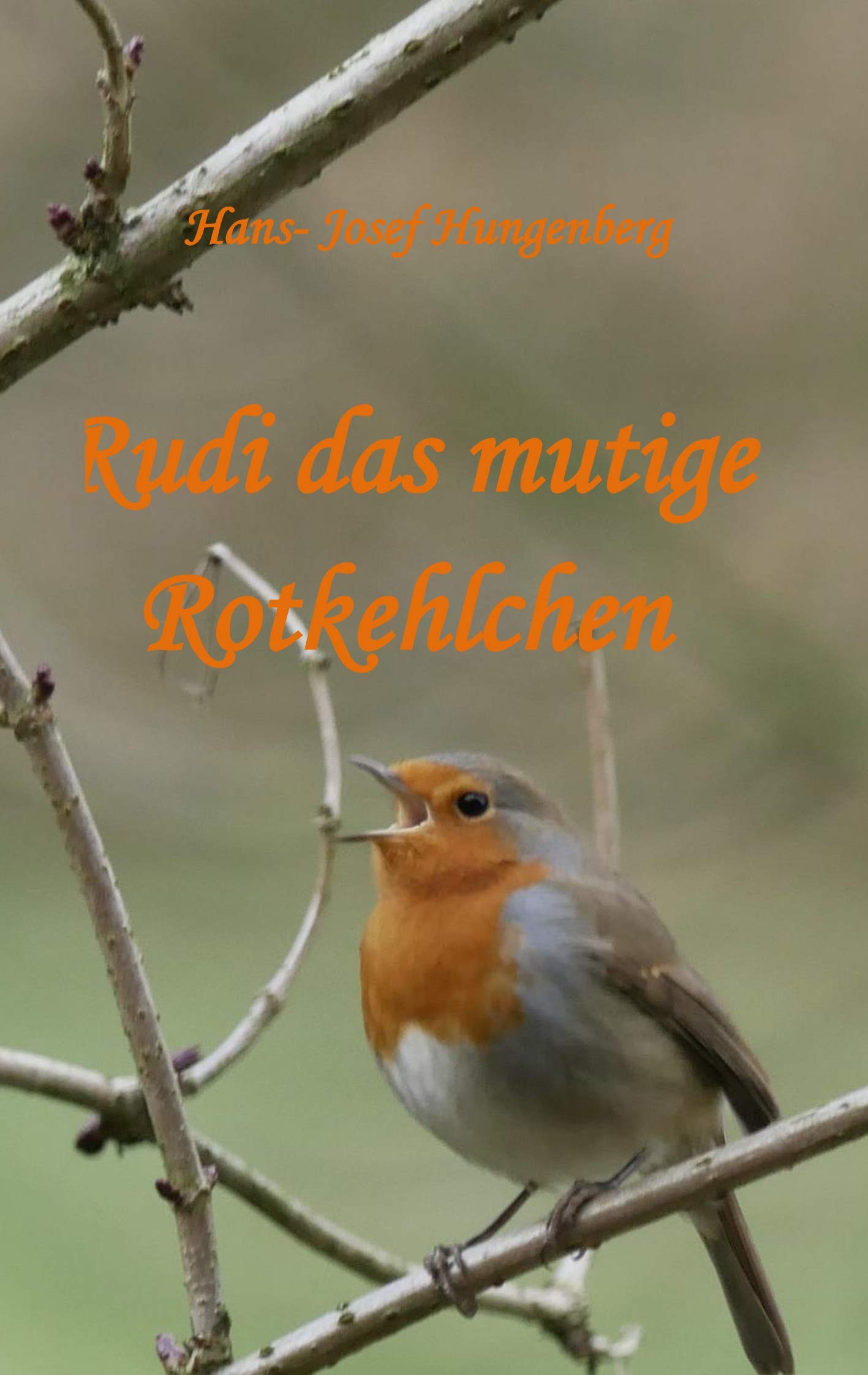 Product Image: Rudi das mutige Rotkehlchen