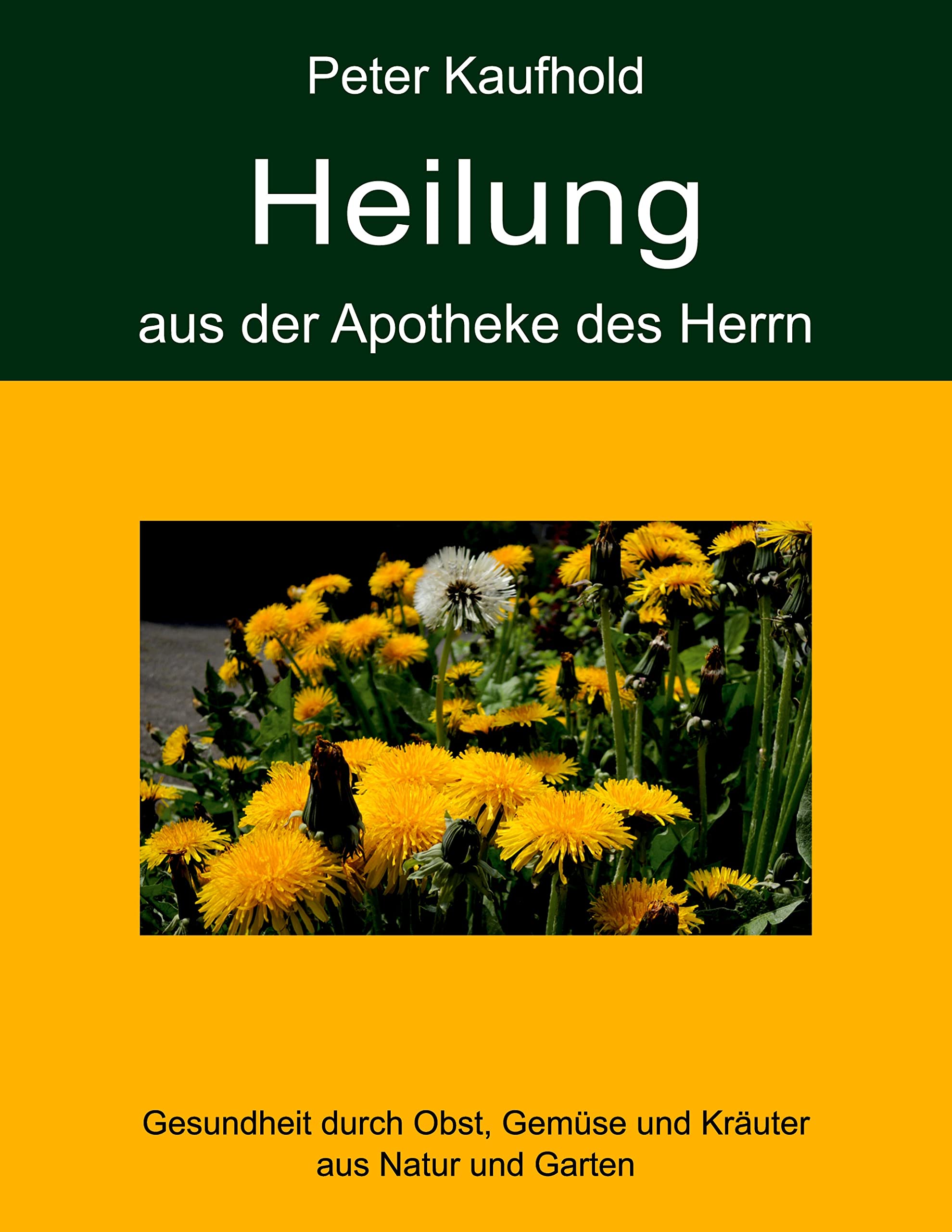 Heilung aus der Apotheke des Herrn - Band 2: Gesundheit durch Obst, Gemüse und Kräuter aus Natur und Garten Medicine