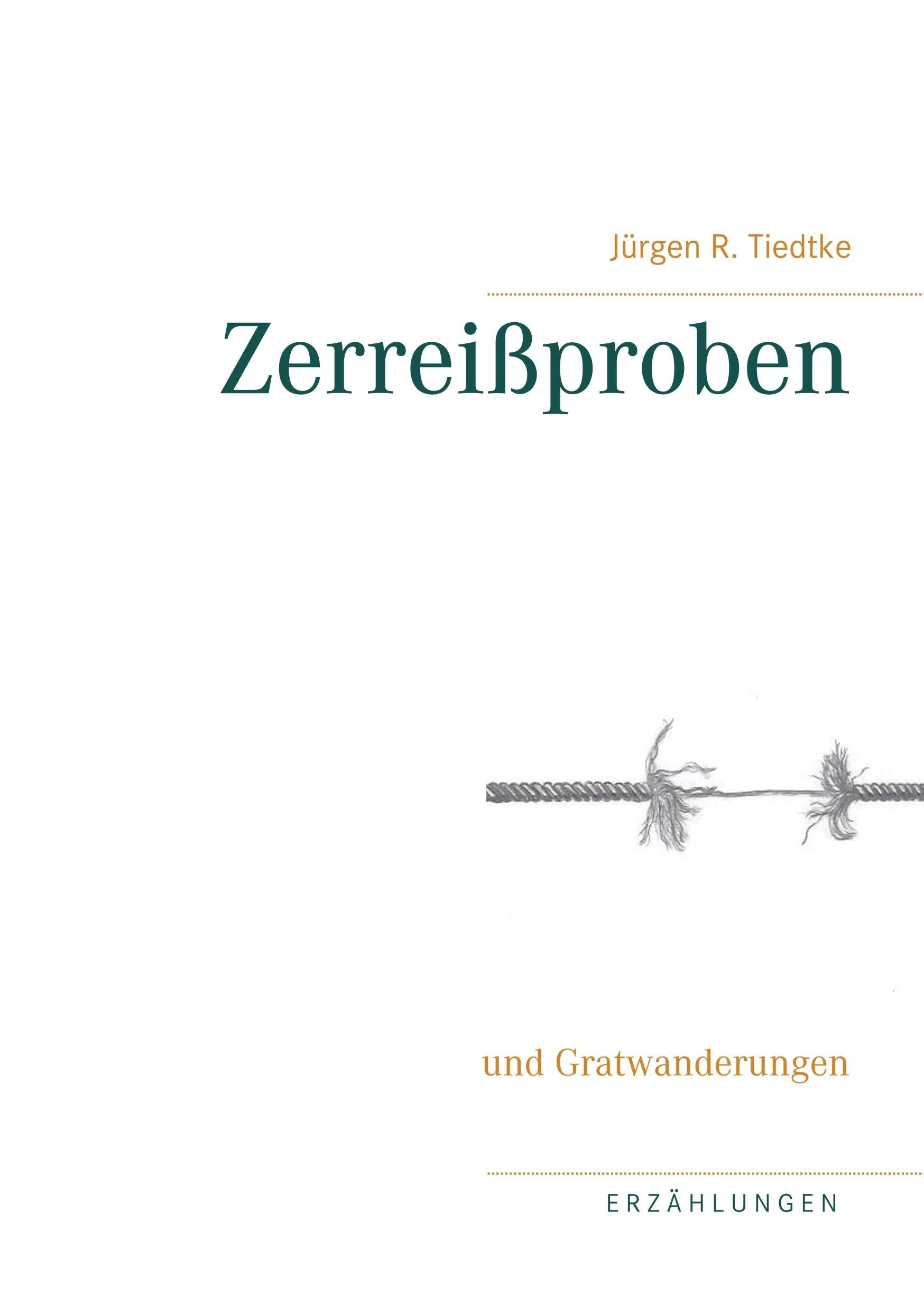 Zerreißproben Contemporary literature