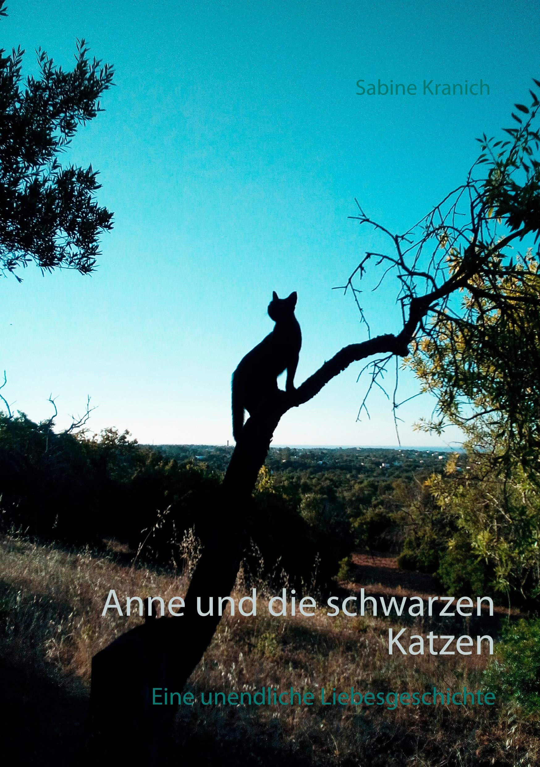 Anne und die schwarzen Katzen: Eine unendliche Liebesgeschichte Contemporary literature