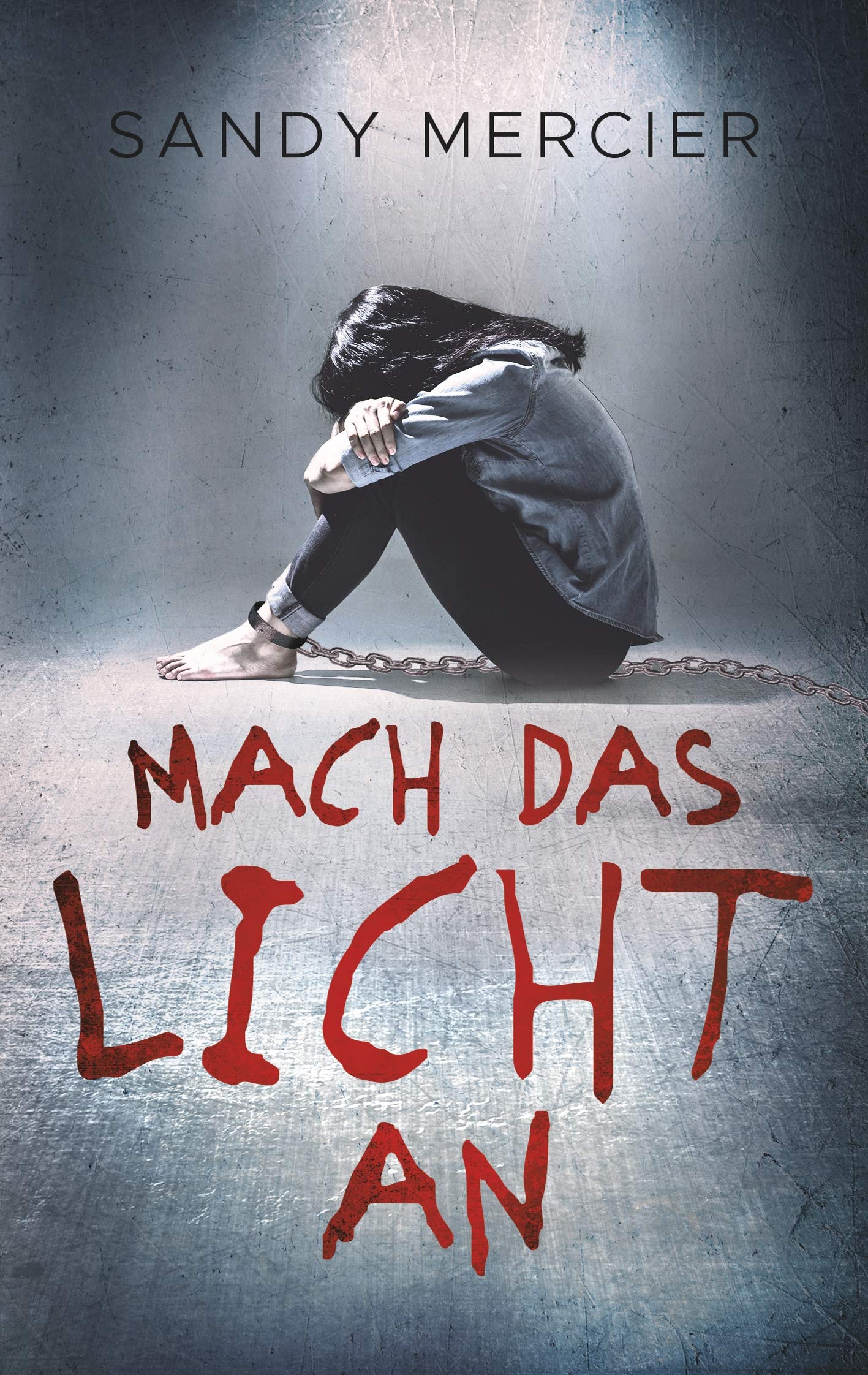 Mach das Licht an Contemporary literature Books