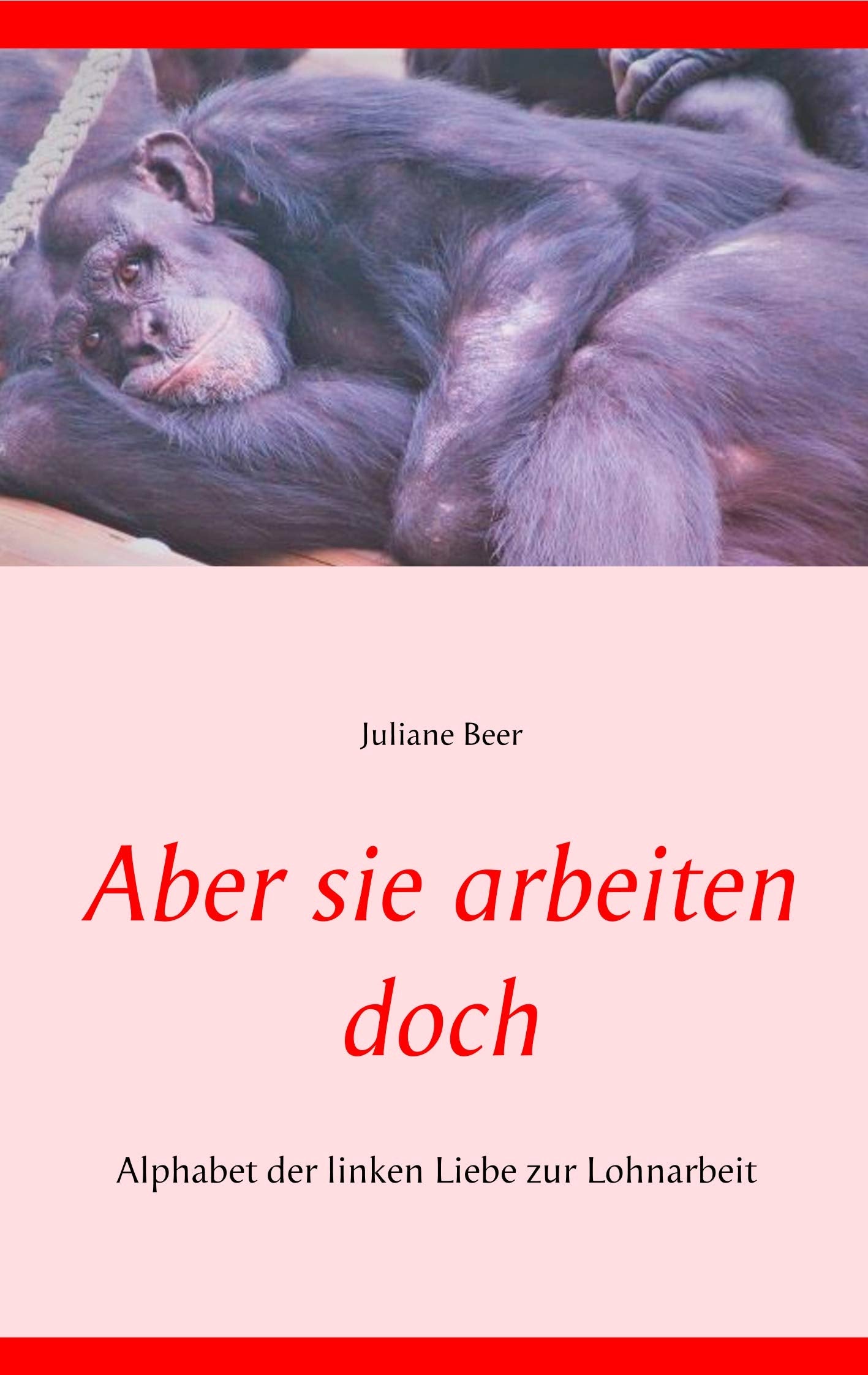 Aber sie arbeiten doch: Alphabet der linken Liebe zur Lohnarbeit Law