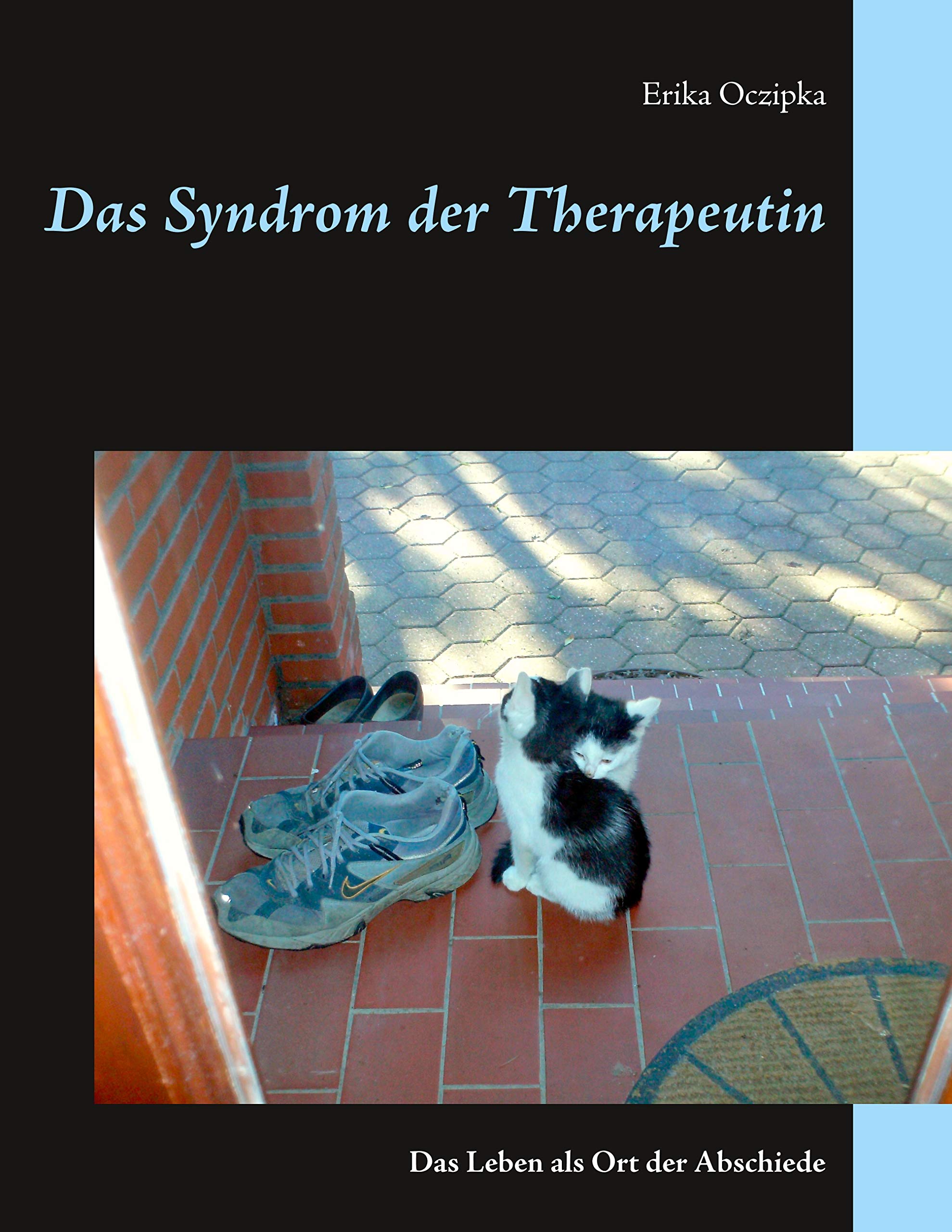 Das Syndrom der Therapeutin: Das Leben als Ort der Abschiede Contemporary literature
