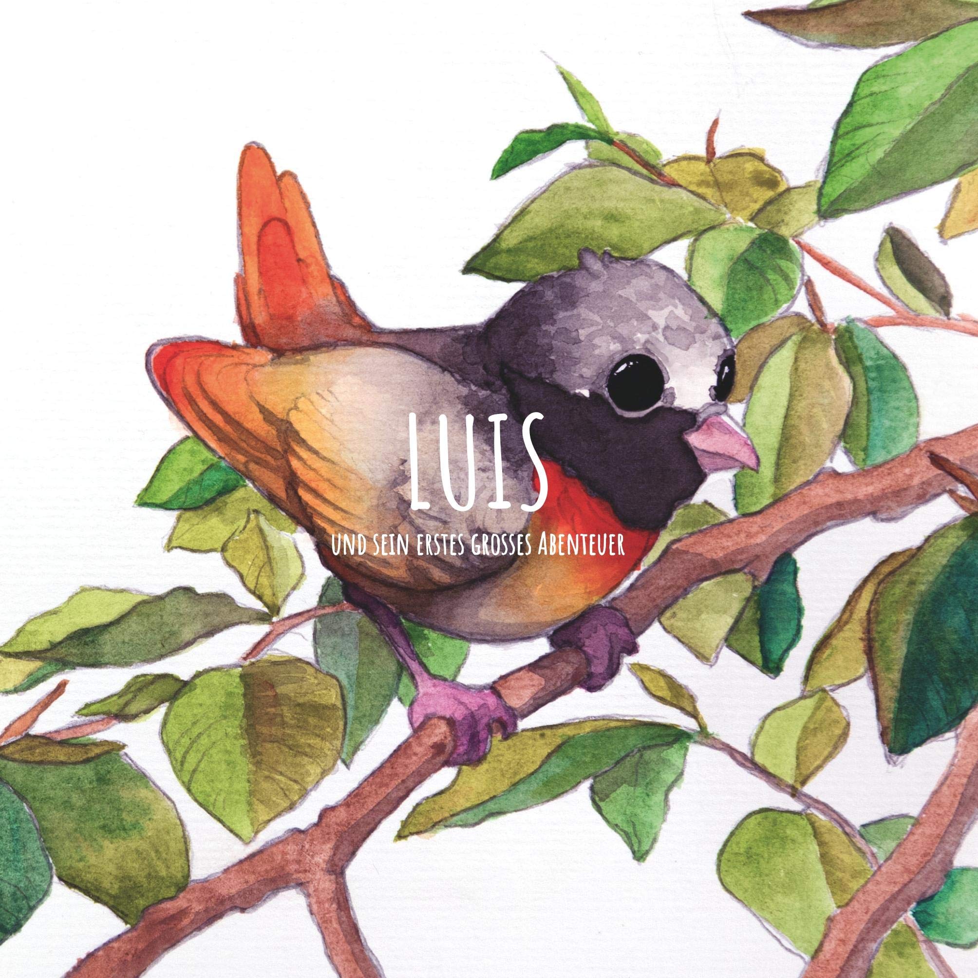 Product Image: Luis und sein erstes großes Abenteuer