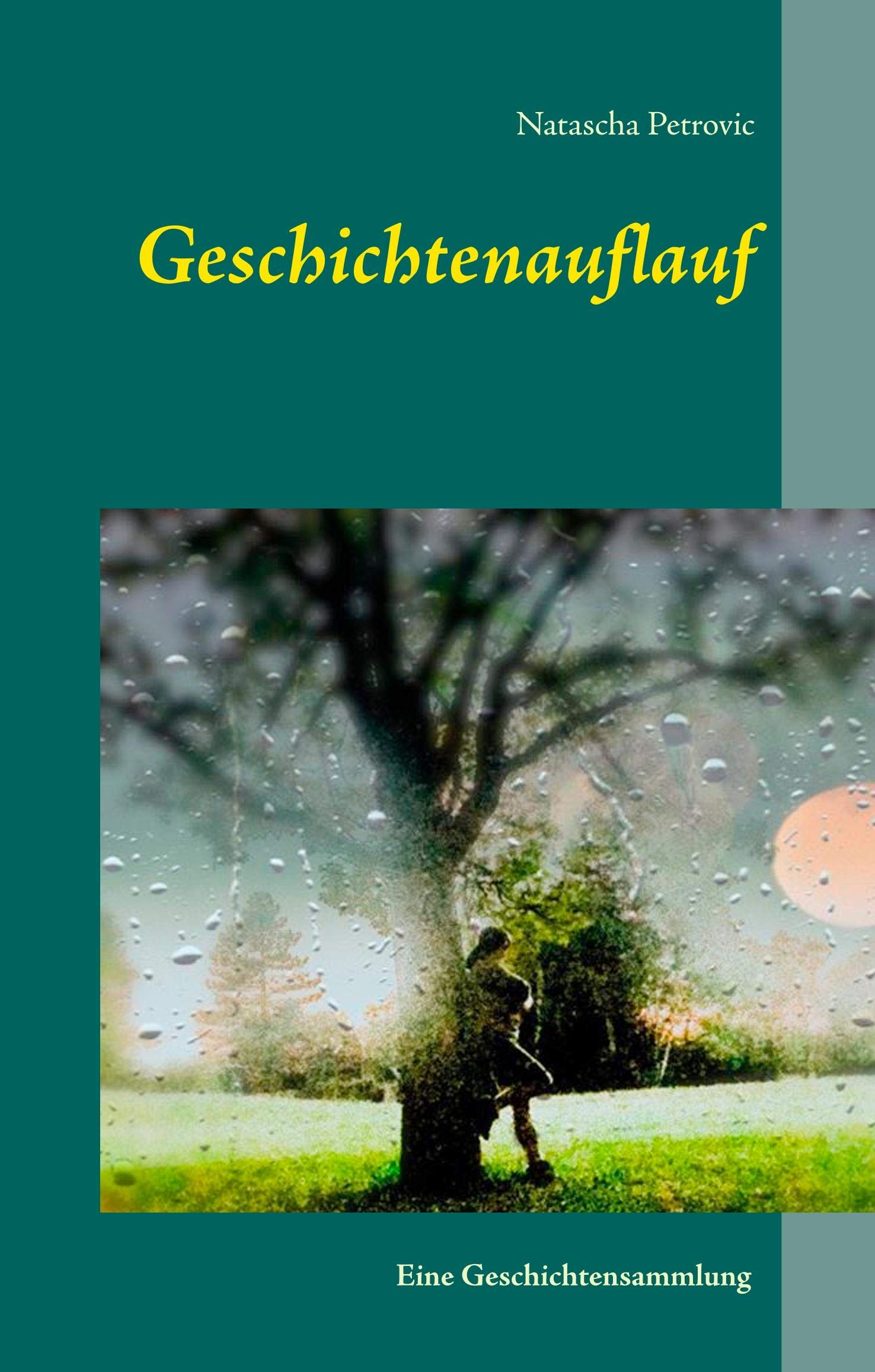 Geschichtenauflauf Education