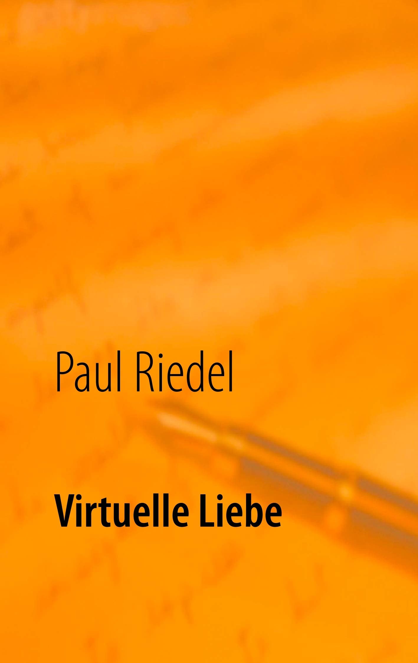 Virtuelle Liebe: eine kleine Komödie des Alltags book