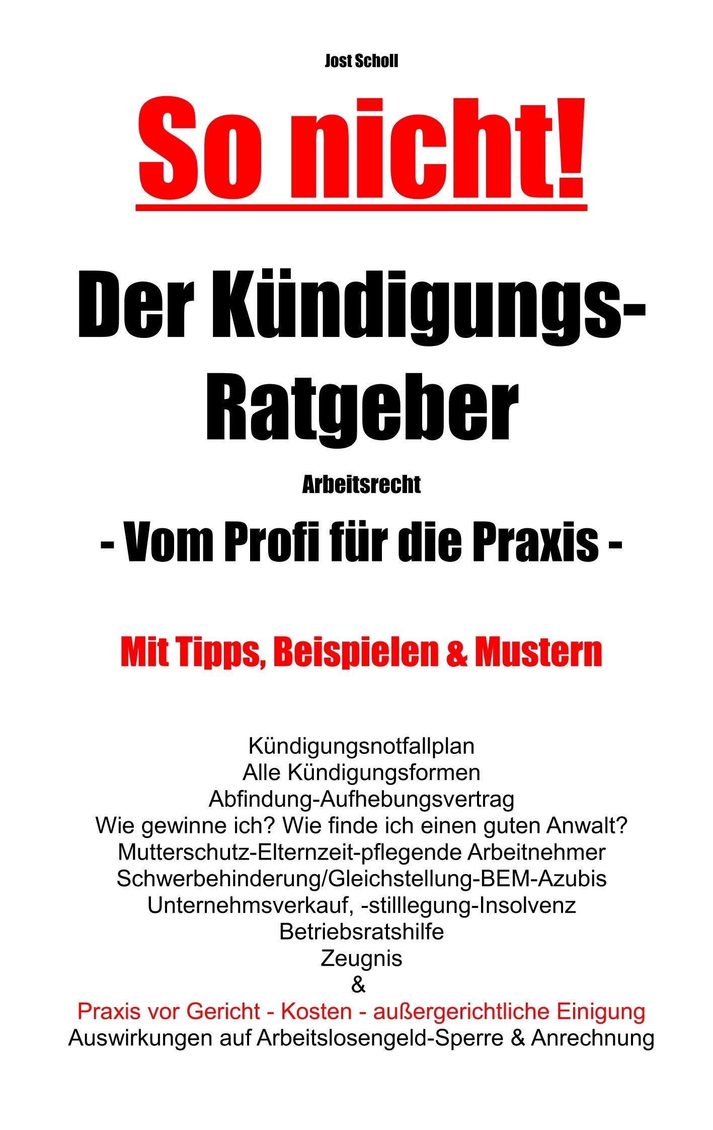 So nicht! Der Kündigungs-Ratgeber Arbeitsrecht: Vom Profi für die Praxis Law