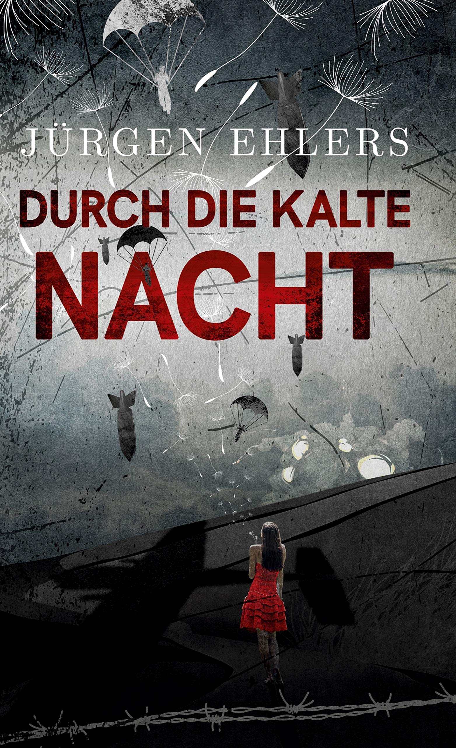 Durch die kalte Nacht Contemporary literature