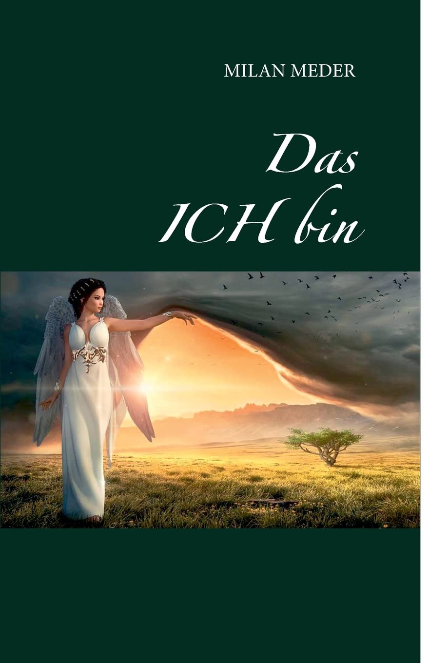 Das ICH bin Contemporary literature Books