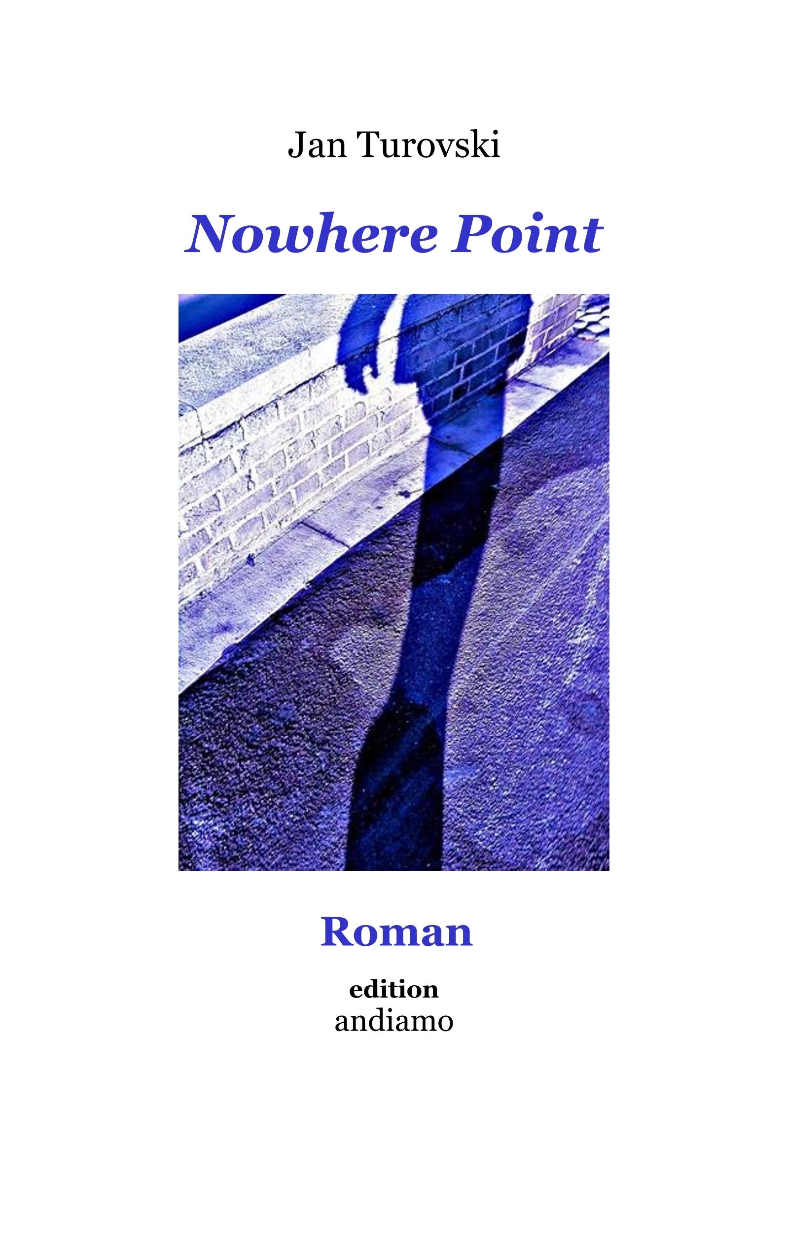 Nowhere Point: Roman Contemporary literature
