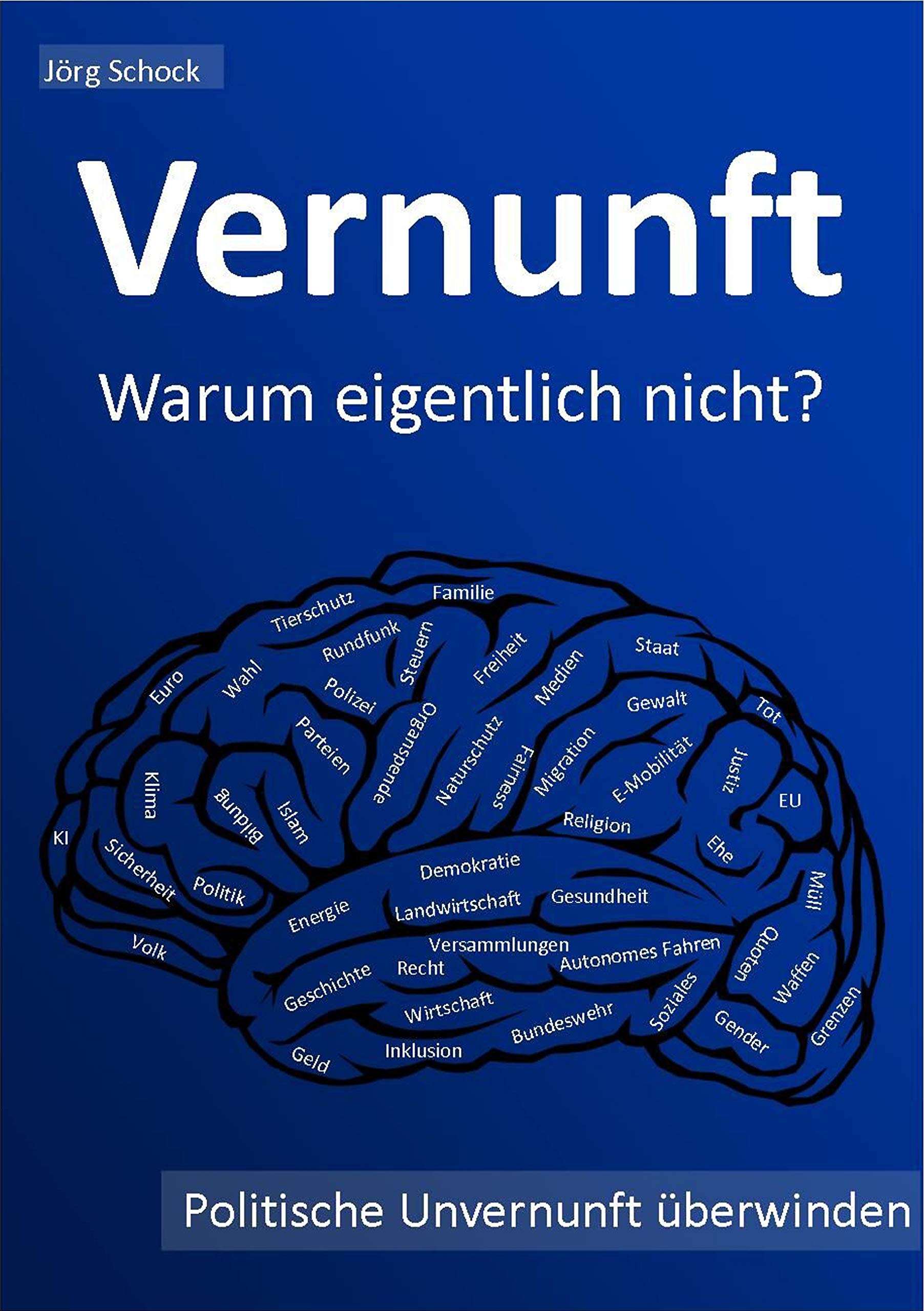 Vernunft - warum eigentlich nicht?: politische Unvernunft überwinden Learning & Reference