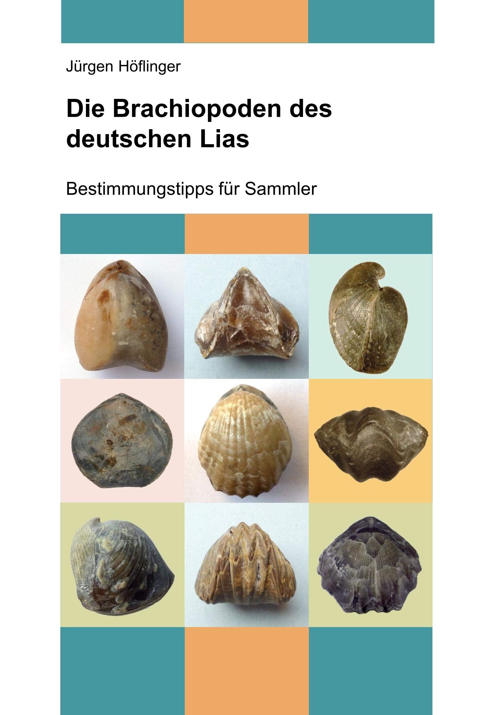 Die Brachiopoden des deutschen Lias: Bestimmungstipps für Sammler (Deutsche Jura-Brachiopoden, Band 1) Business & Technology