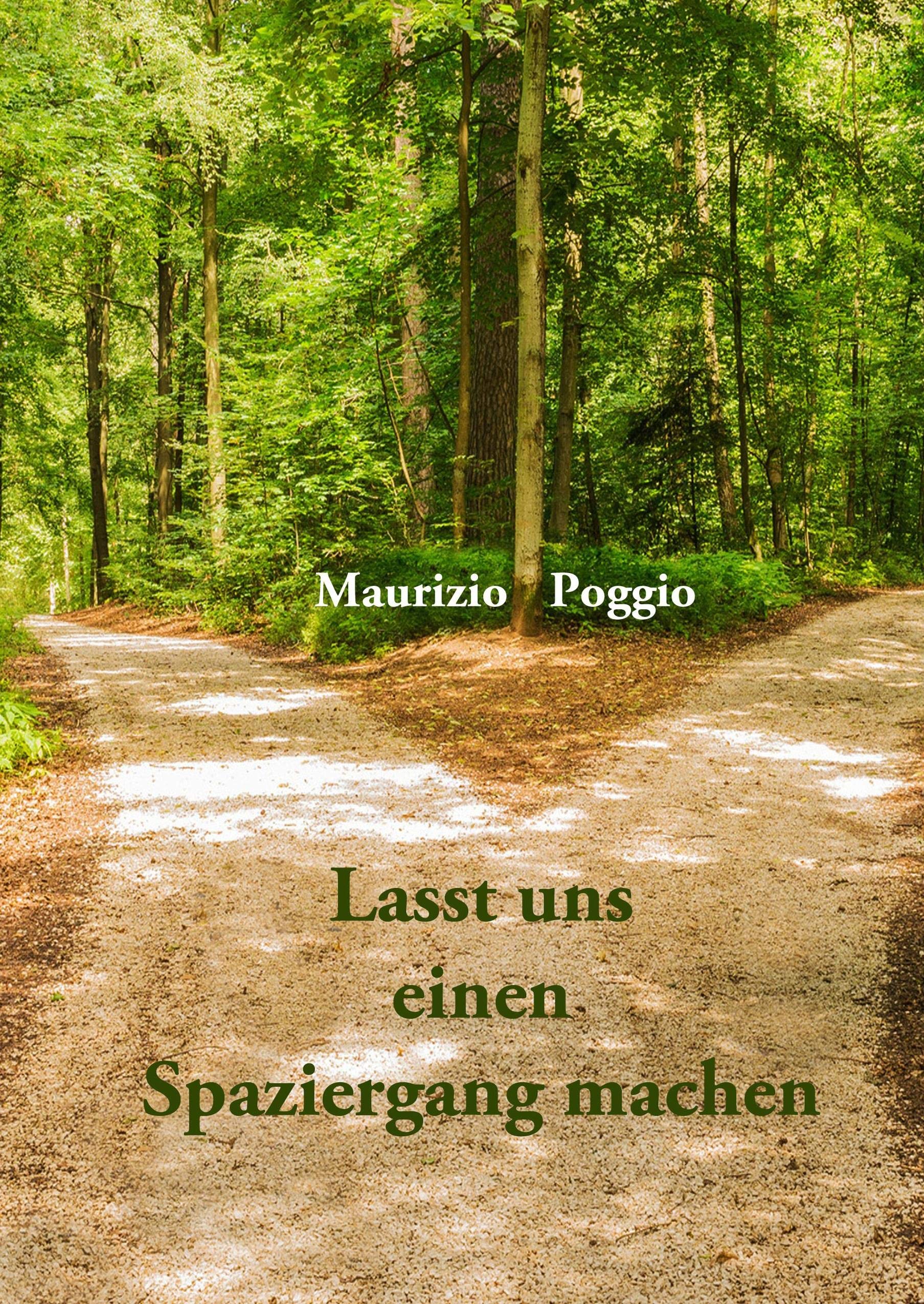 Lasst uns einen Spaziergang machen: Kurzgeschichten Essays & Short Stories
