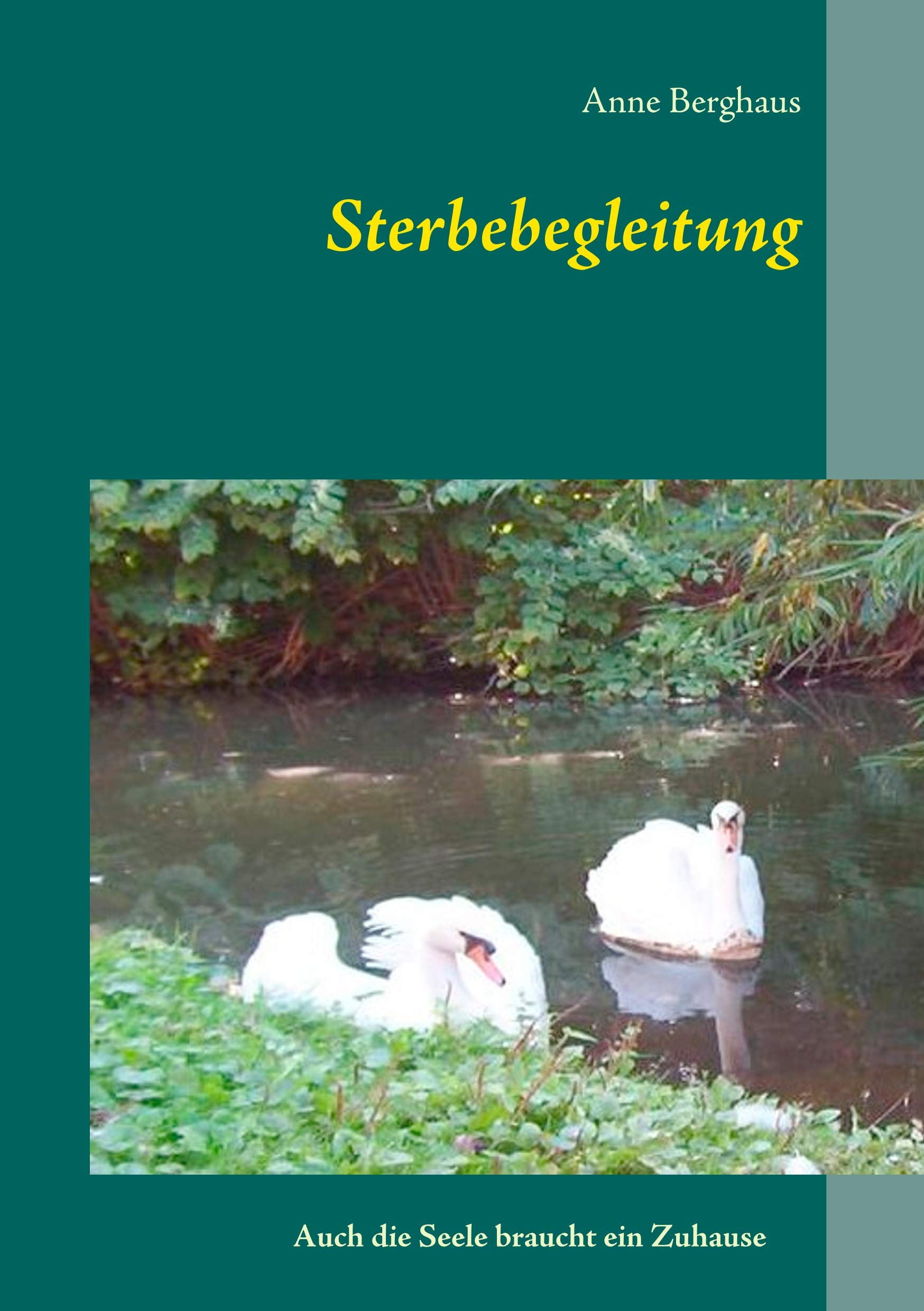 Product Image: Sterbebegleitung