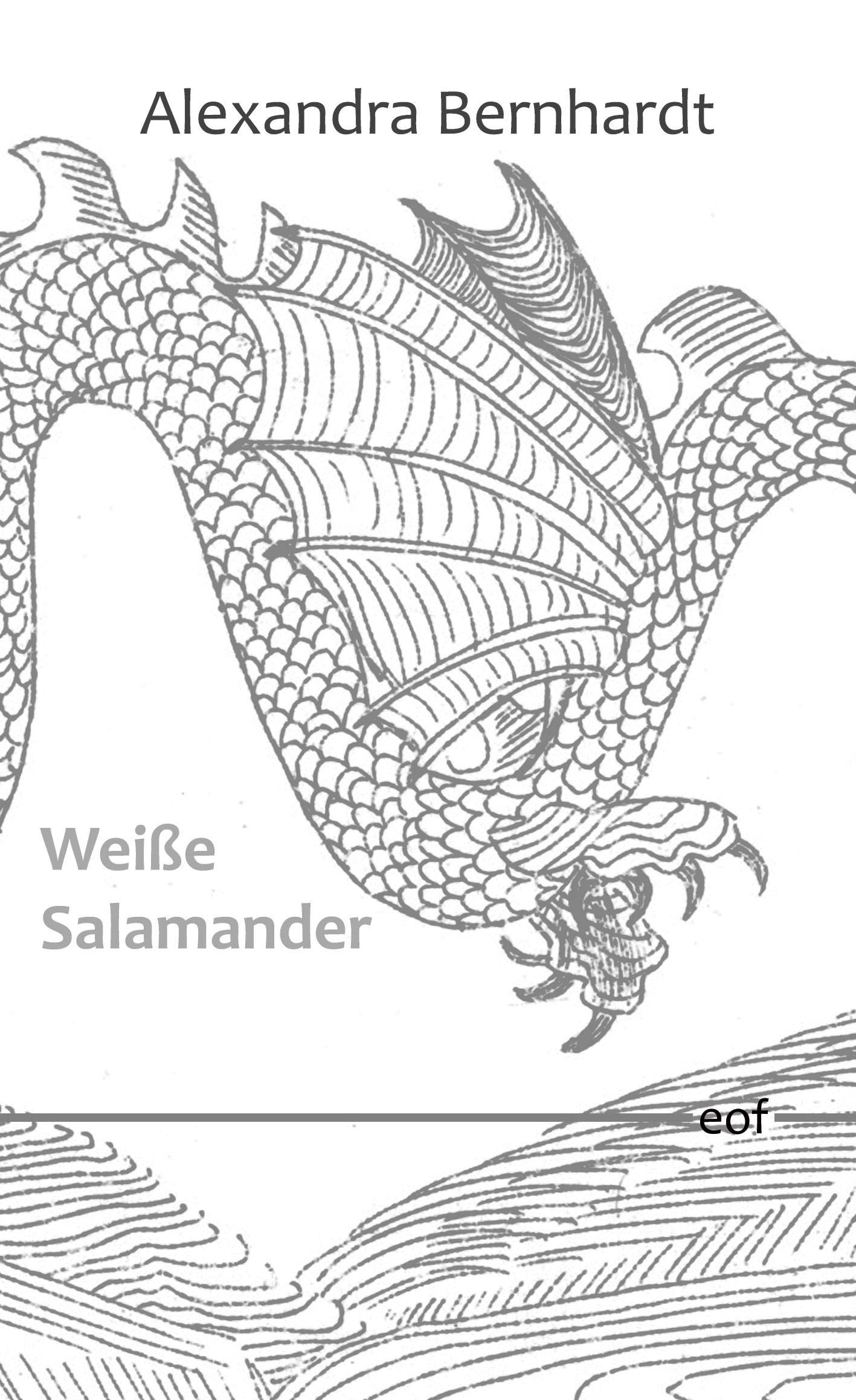Weiße Salamander: Gedichte (edition offenes feld, Band 39) Poetry