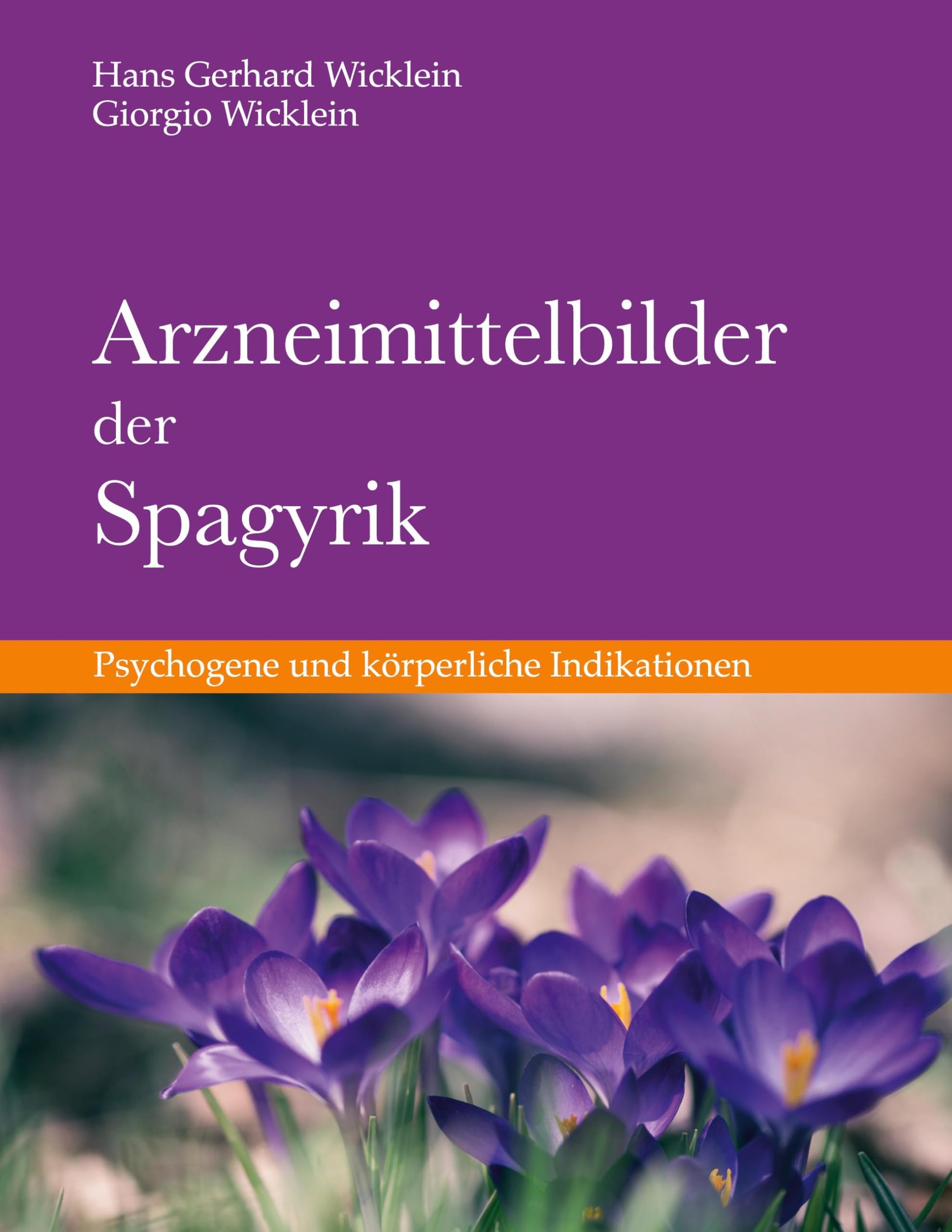 Arzneimittelbilder der Spagyrik: Psychogene und körperliche Indikationen Medicine