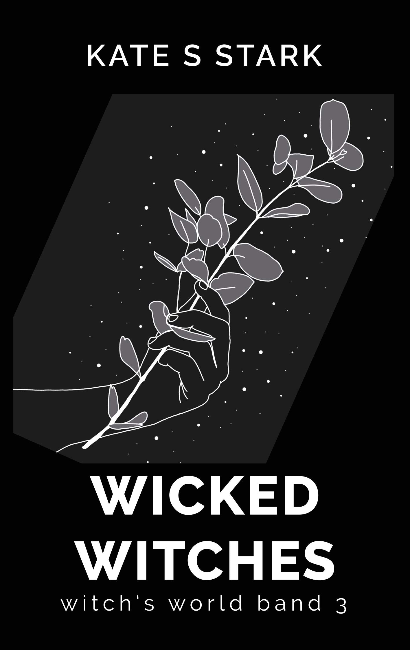 Wicked Witches Historical Fiction