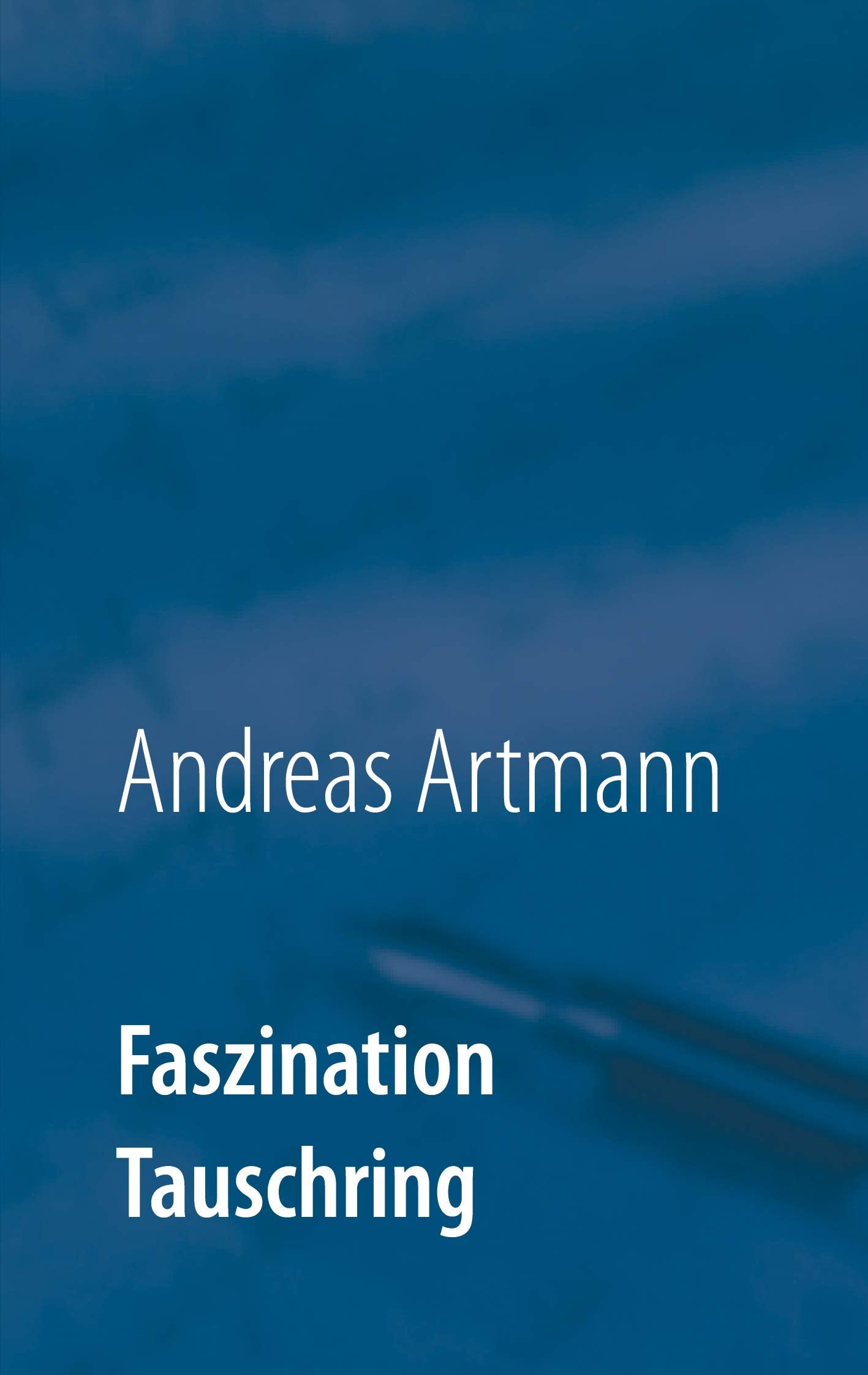 Faszination Tauschring: Erkenntnisse aus 25 Jahren Tauschringforschung Books