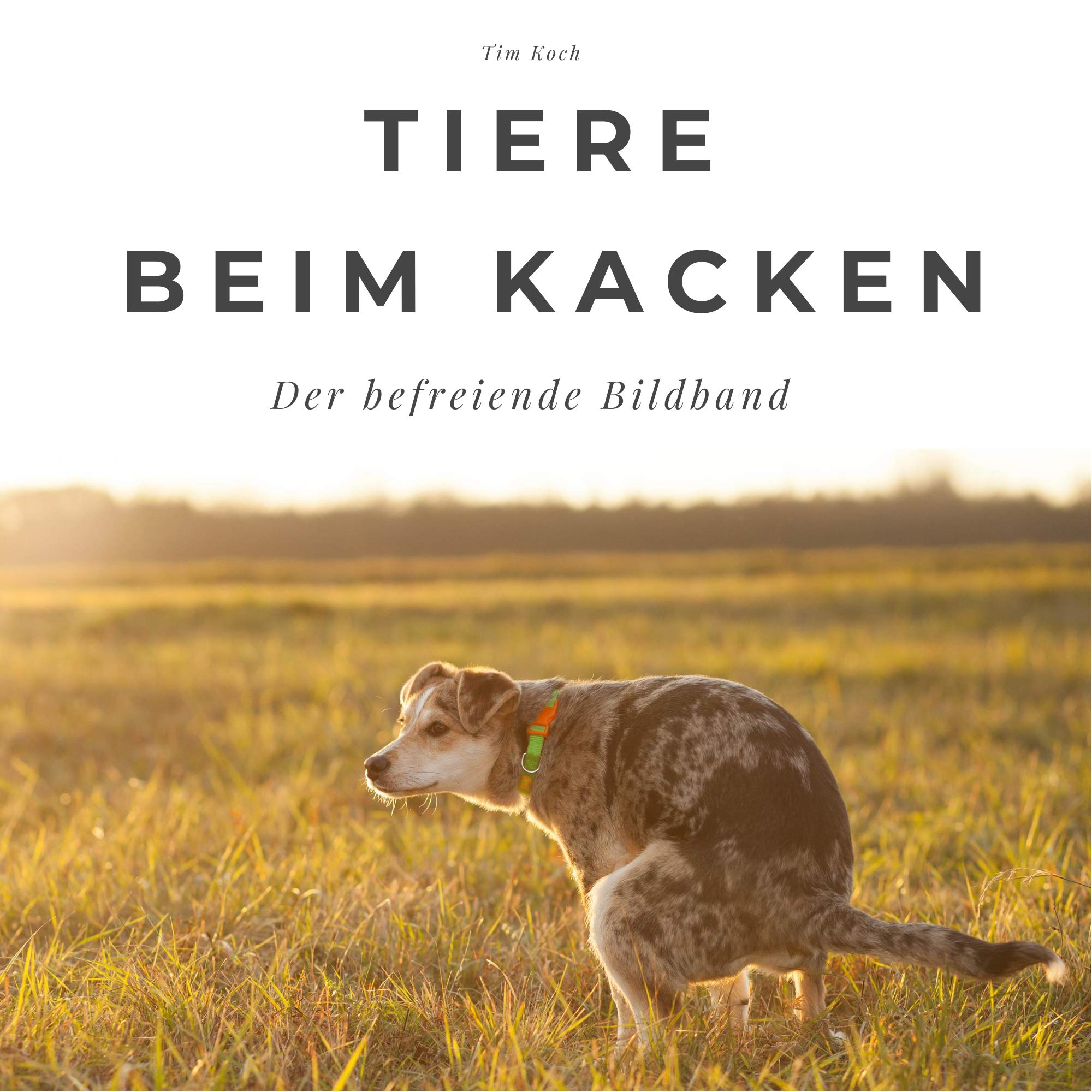 Tiere beim Kacken: Der befreiende Bildband: Der befreiende Bildband. Sonderausgabe, verfügbar nur bei Amazon Photography