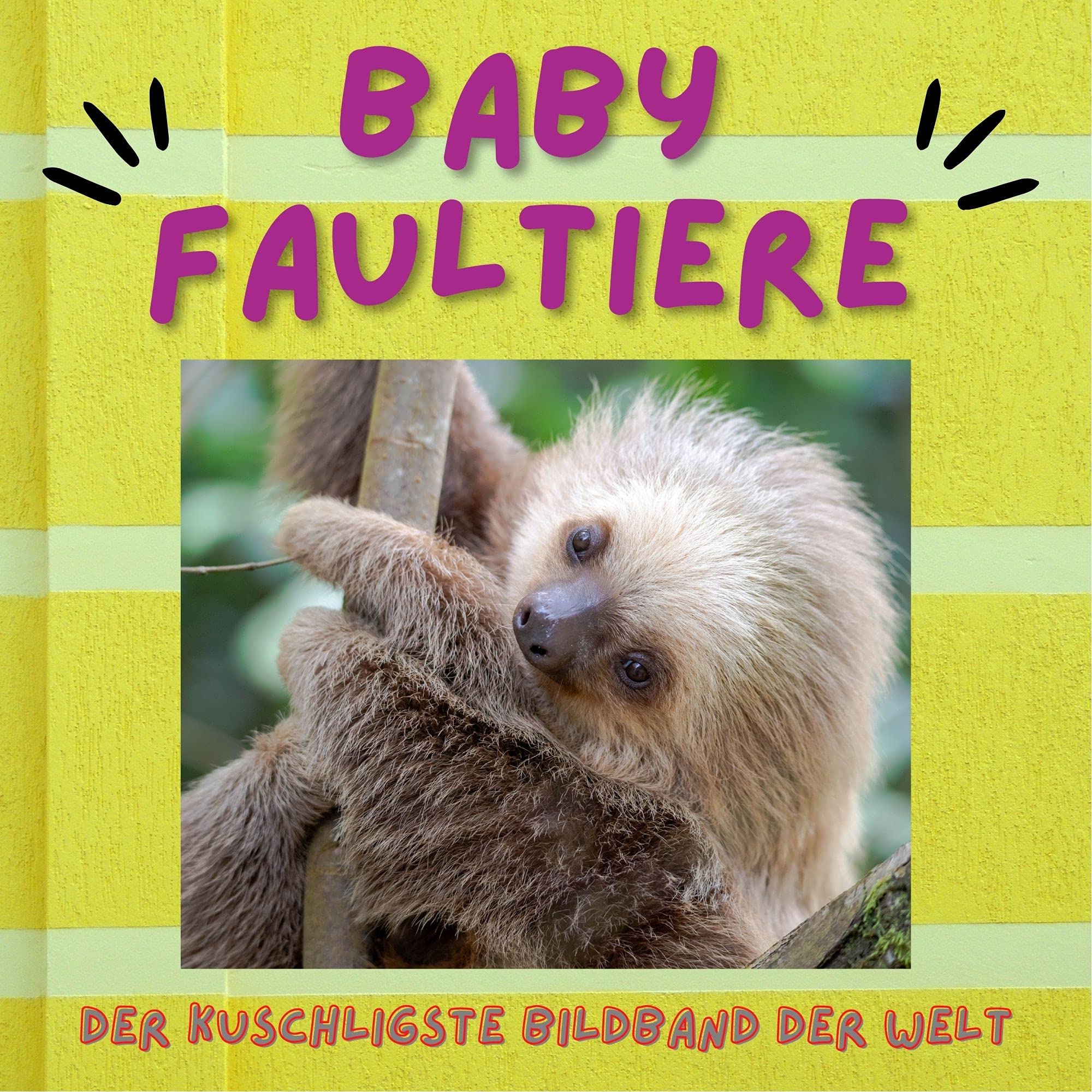 Baby Faultiere: Der kuscheligste Bildband der Welt Art & Literature