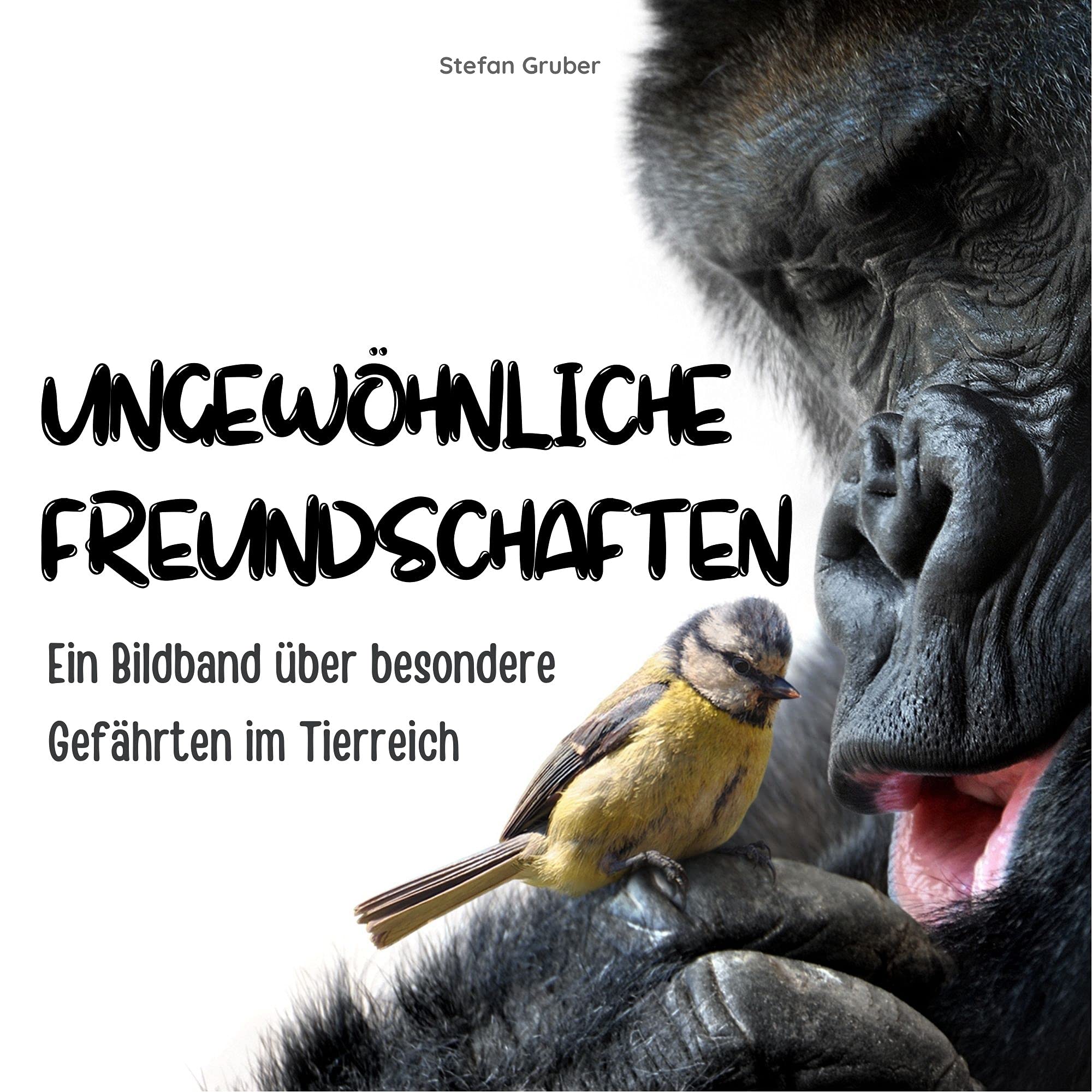Ungewöhnliche Freundschaften: Ein Bildband über besondere Weggefährten im Tierreich Art & Literature
