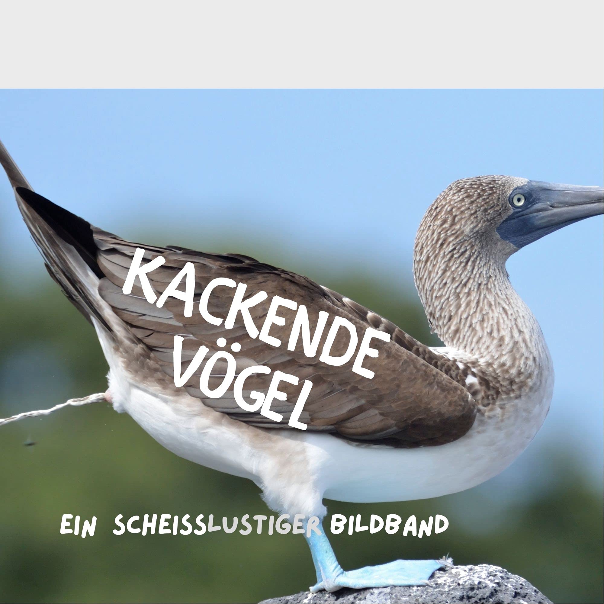 Product Image: Kackende Vögel